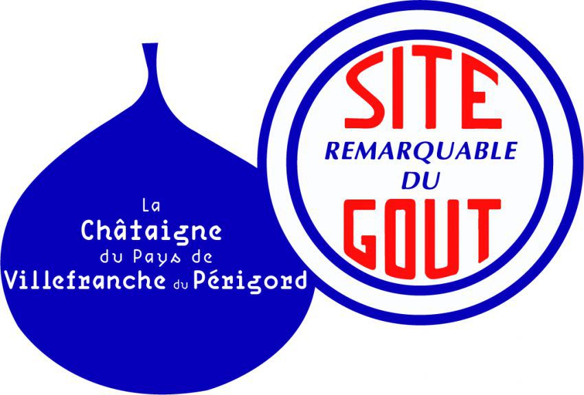 Logo SRG VDP.JPG