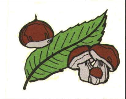 Logo confrérie.JPG