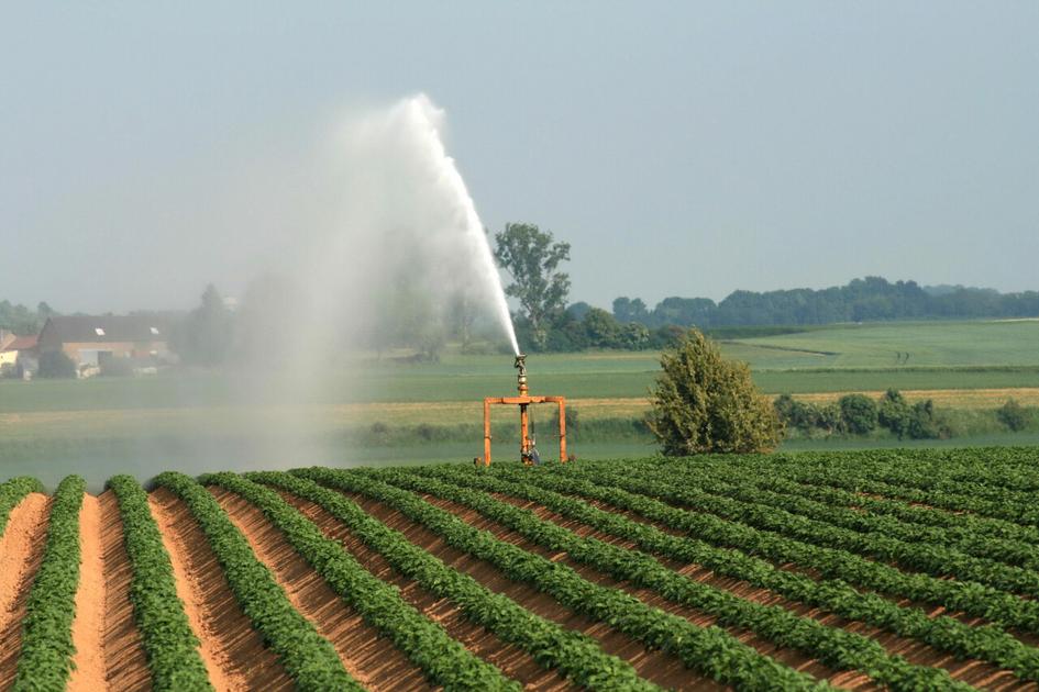 irrigation.jpg