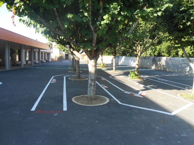 ALSH - cours pôle.jpeg