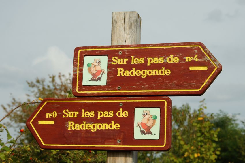 _Sur les pas de Radegonde_.jpeg