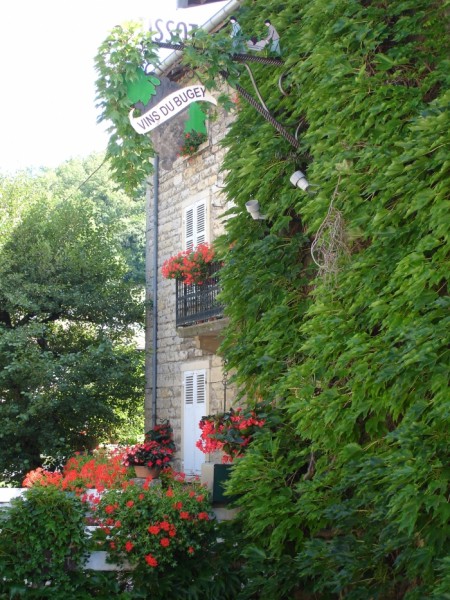 VINS DU BUGEY THIERRY TISSOT.jpg