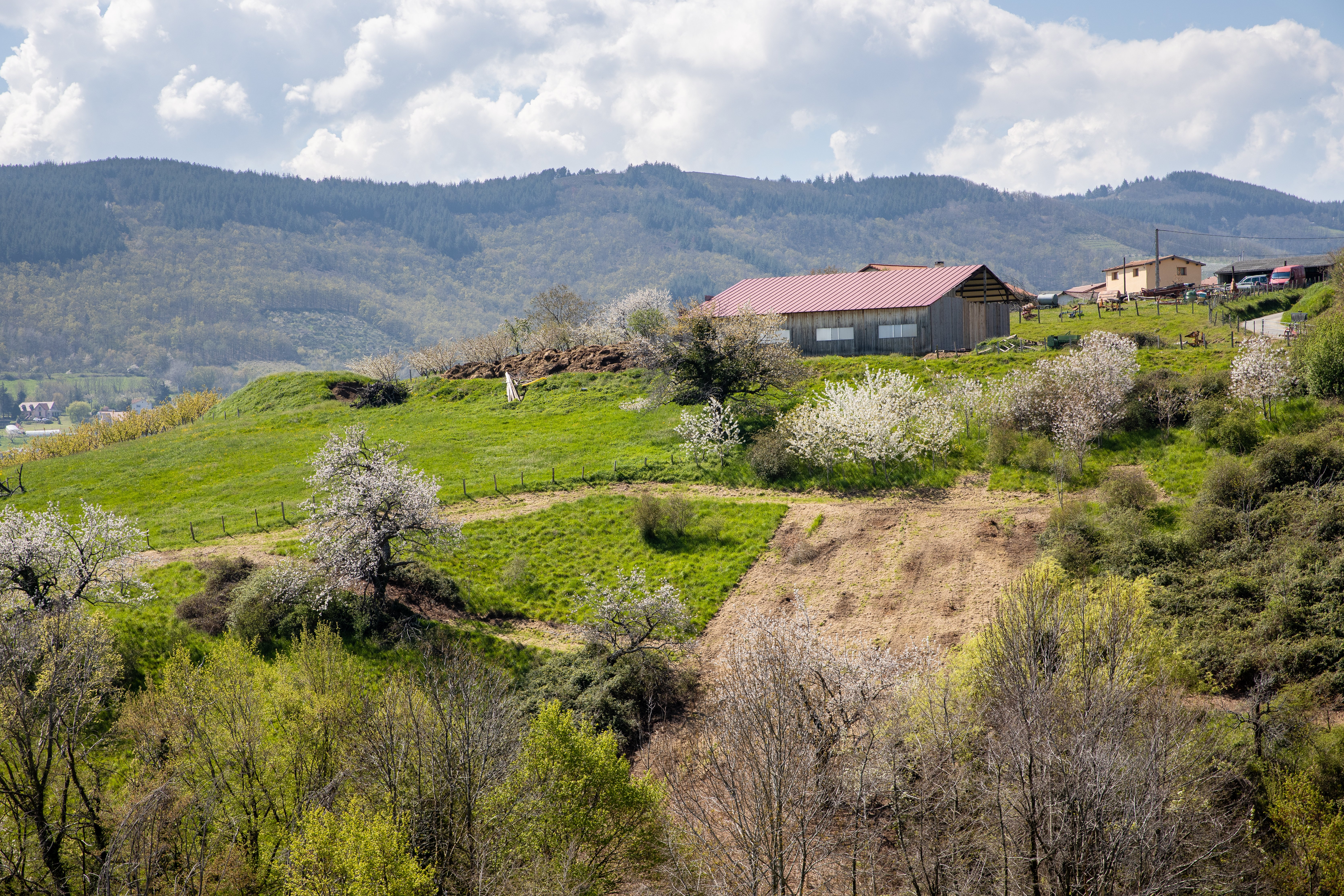 Valfleury Printemps-40.jpg