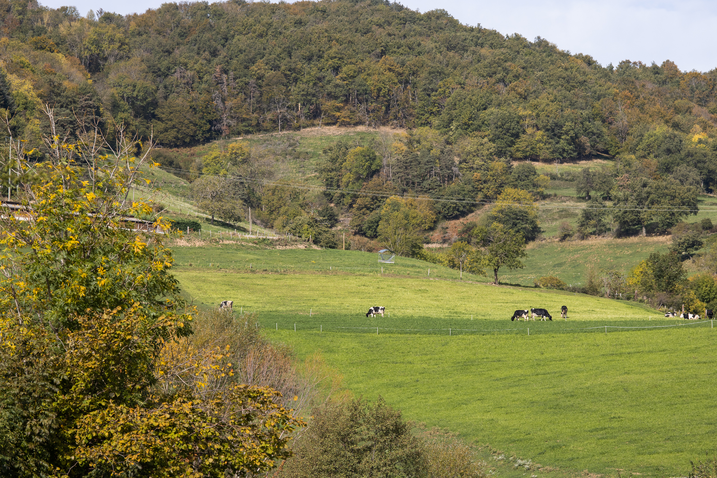 Automne Valfleury web-31.jpg