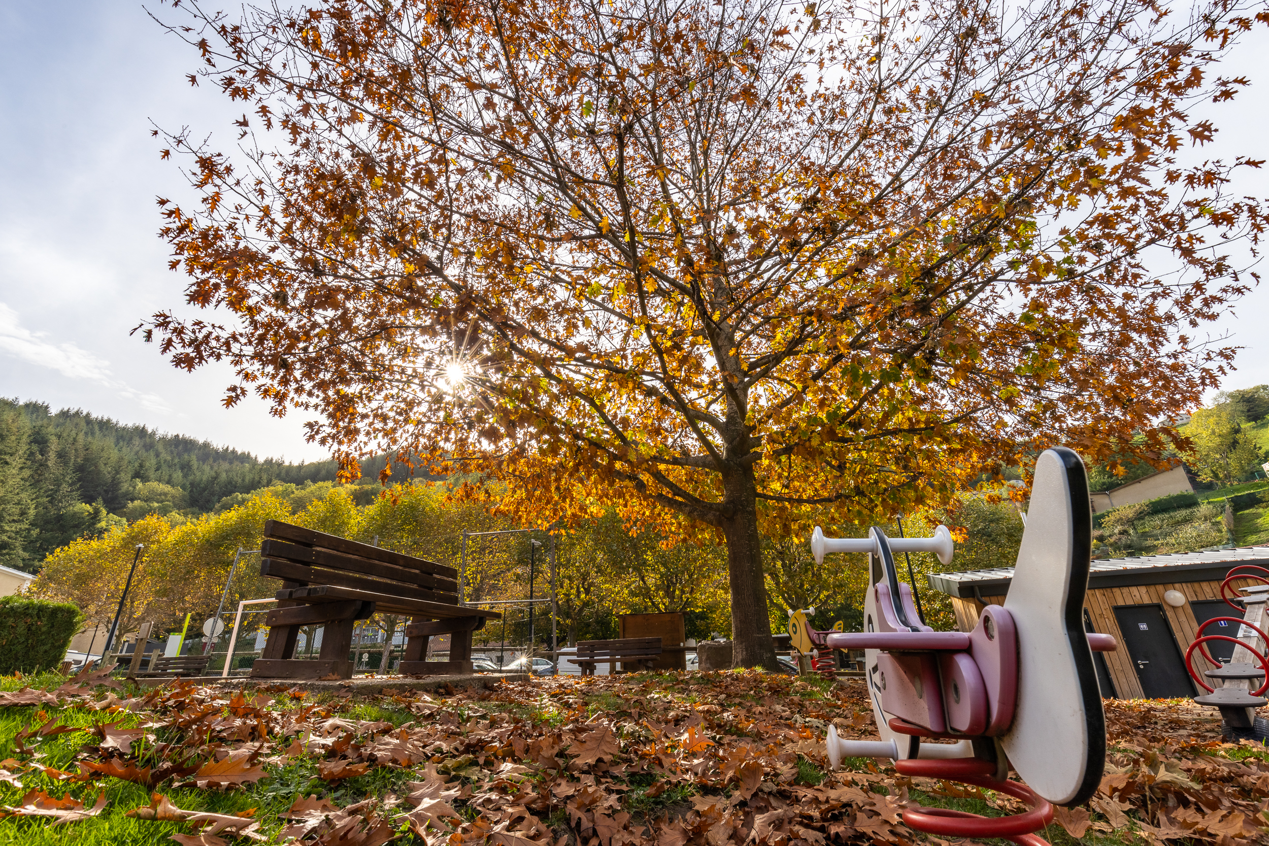 Automne Valfleury web-48.jpg