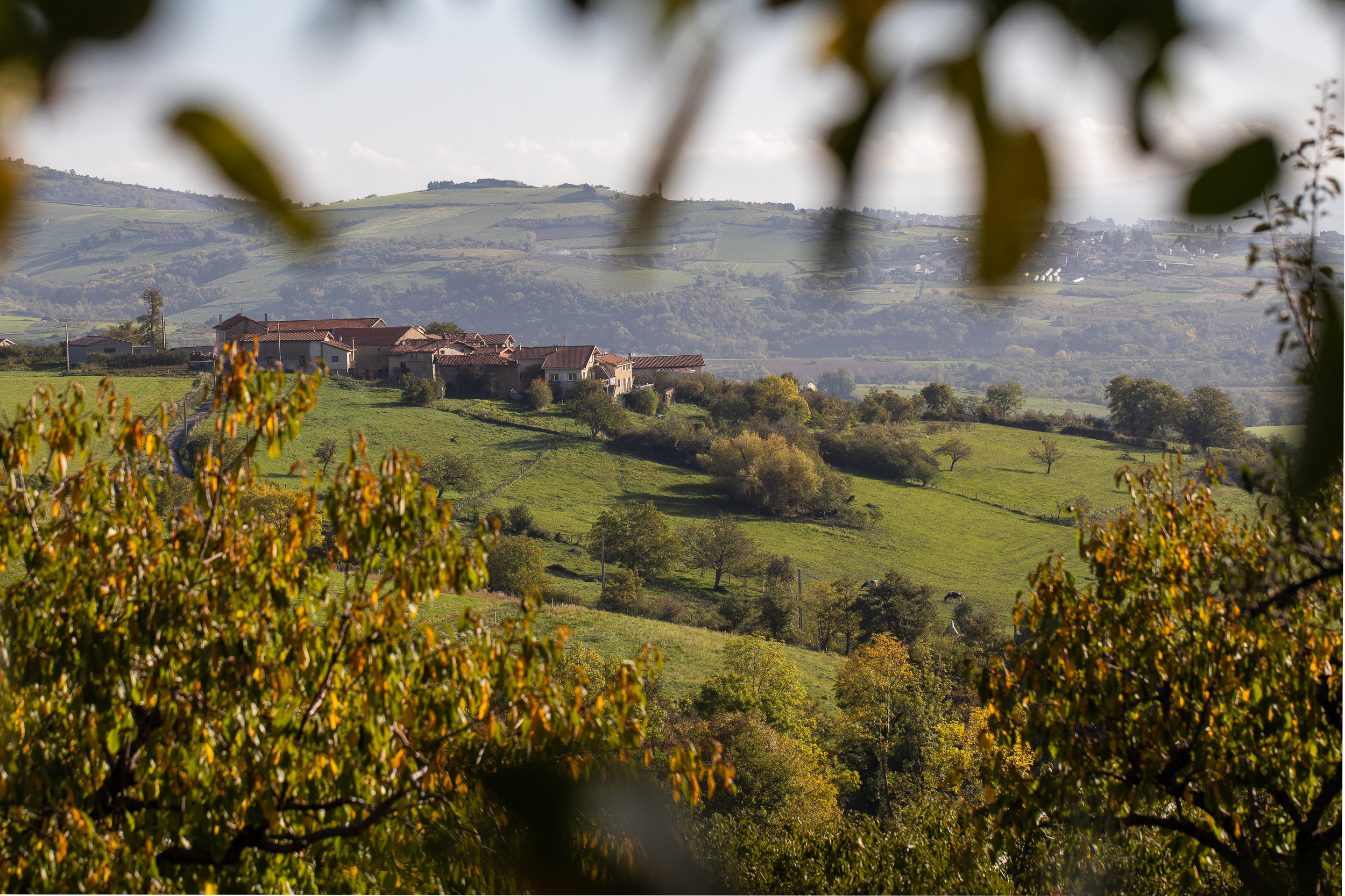 Automne Valfleury web-18.jpg