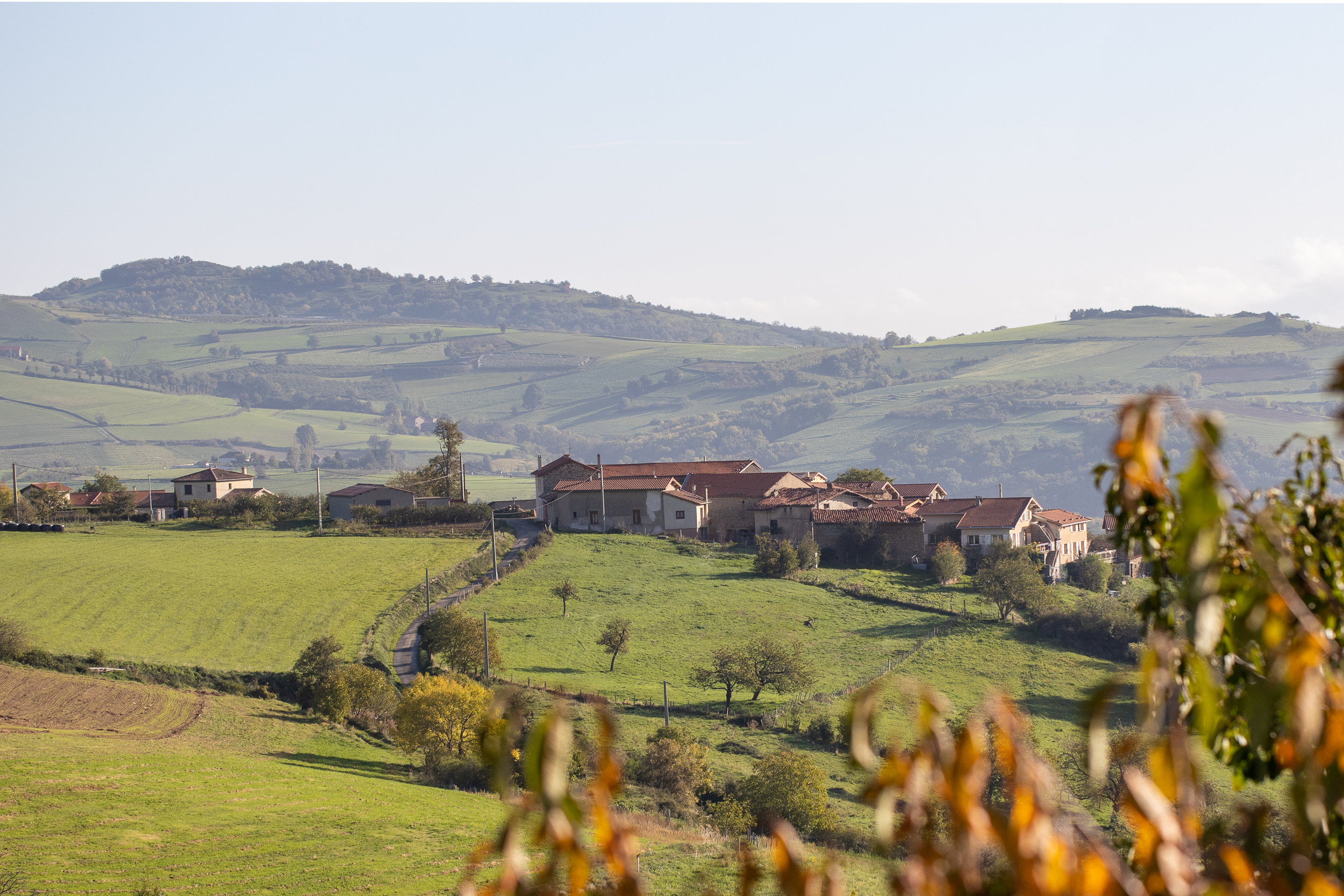 Automne Valfleury web-17.jpg