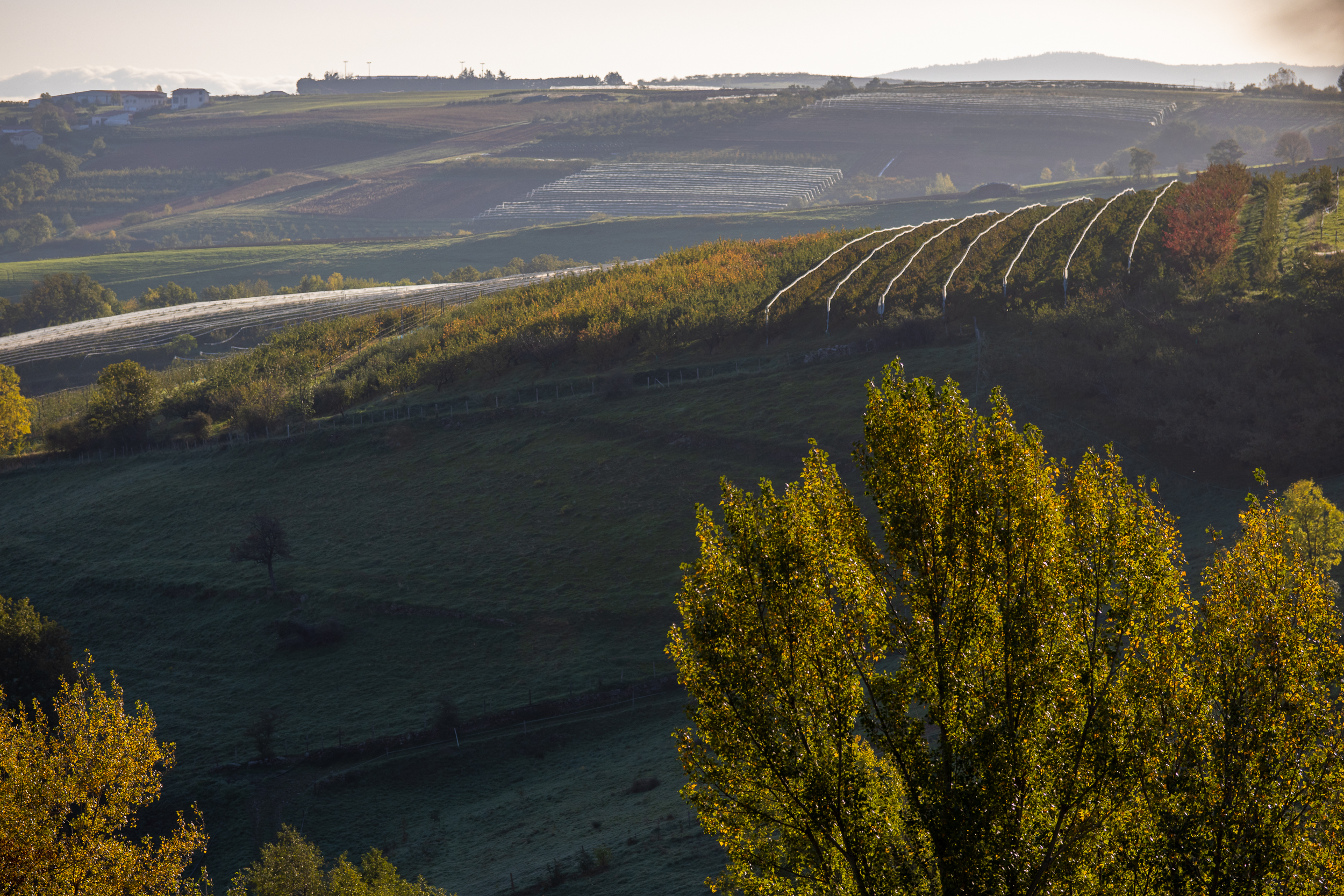 Automne Valfleury web-6.jpg