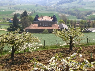 chateau lachal.jpg