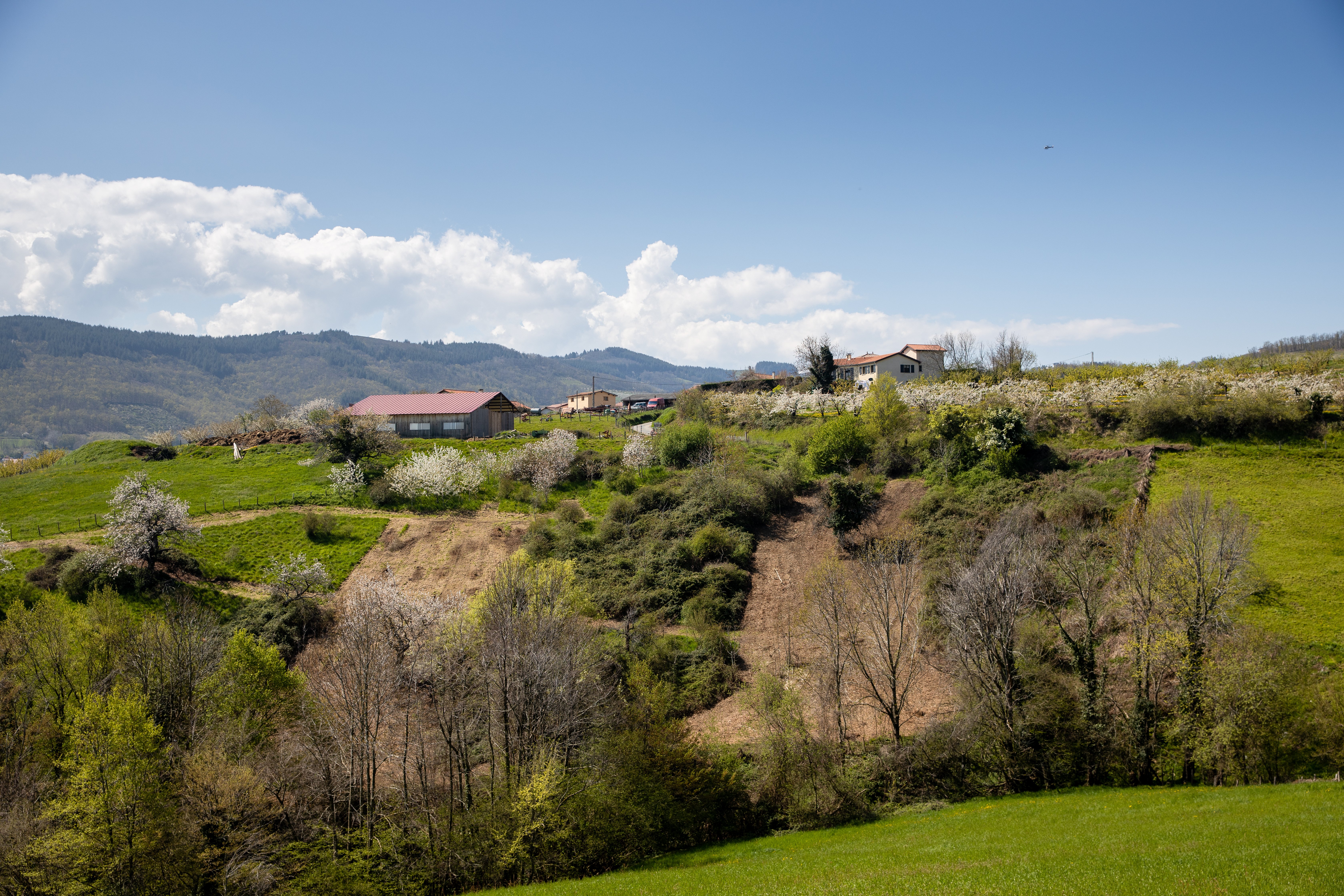 Valfleury Printemps-39.jpg