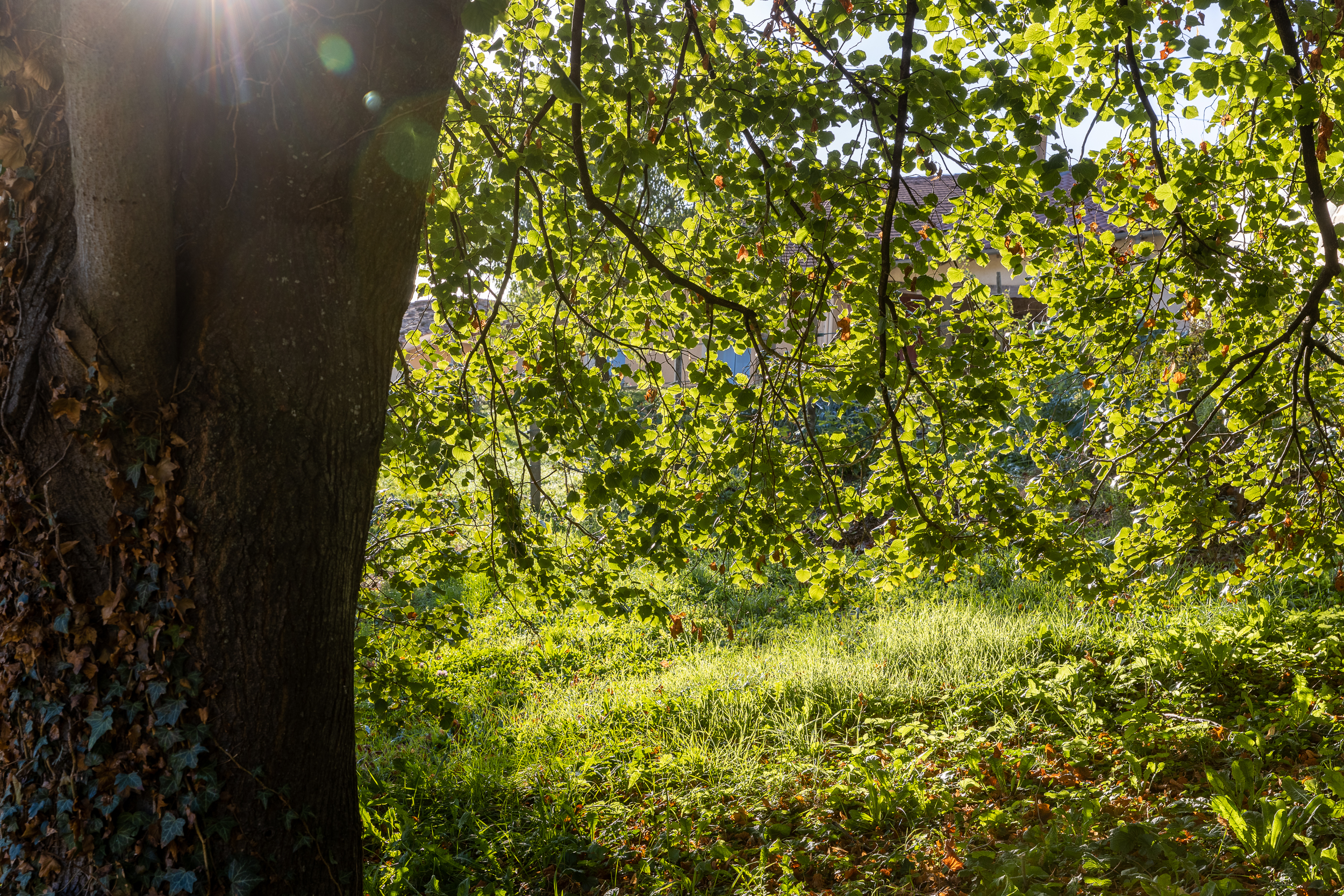 Automne Valfleury web-8.jpg