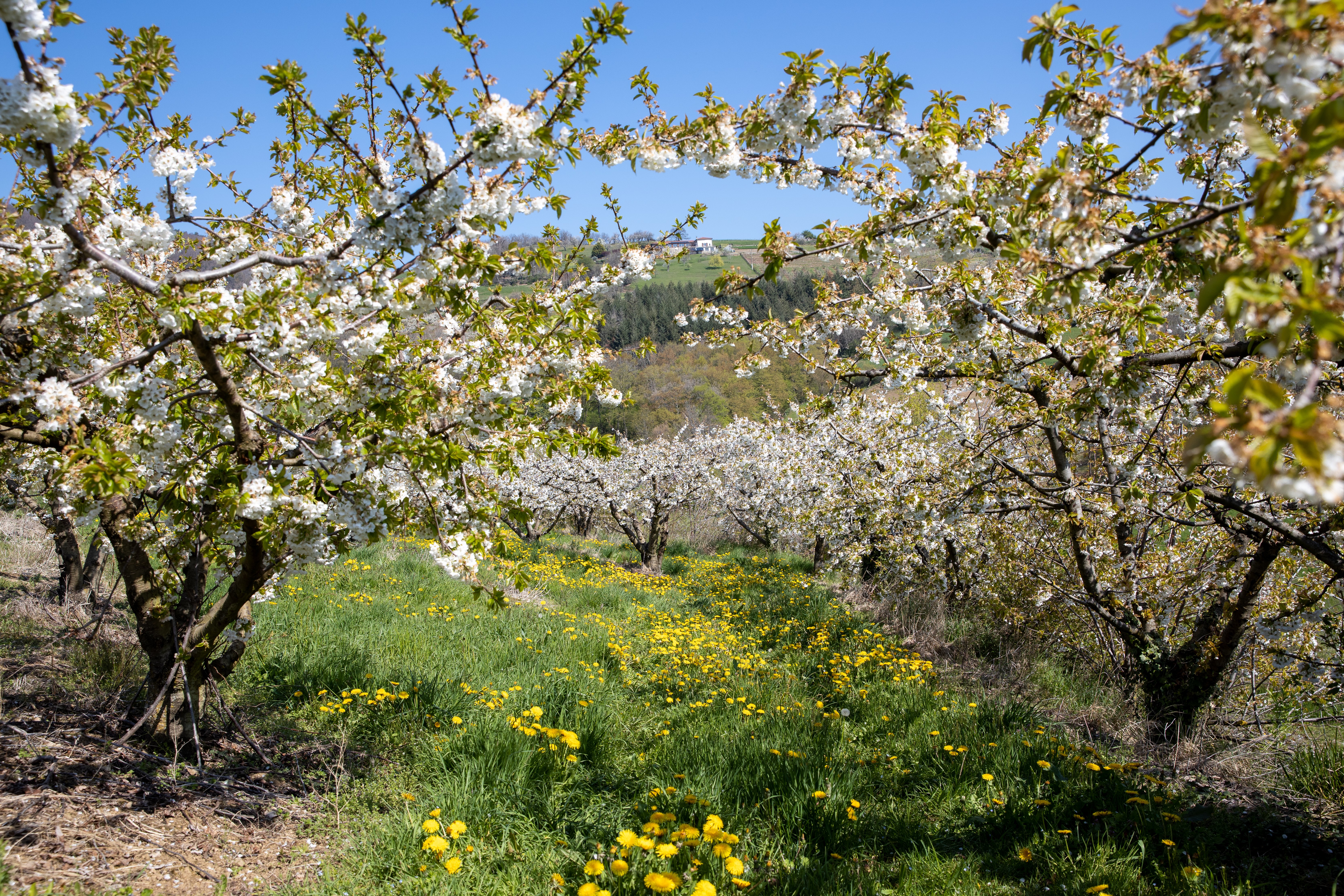 Valfleury Printemps-28.jpg