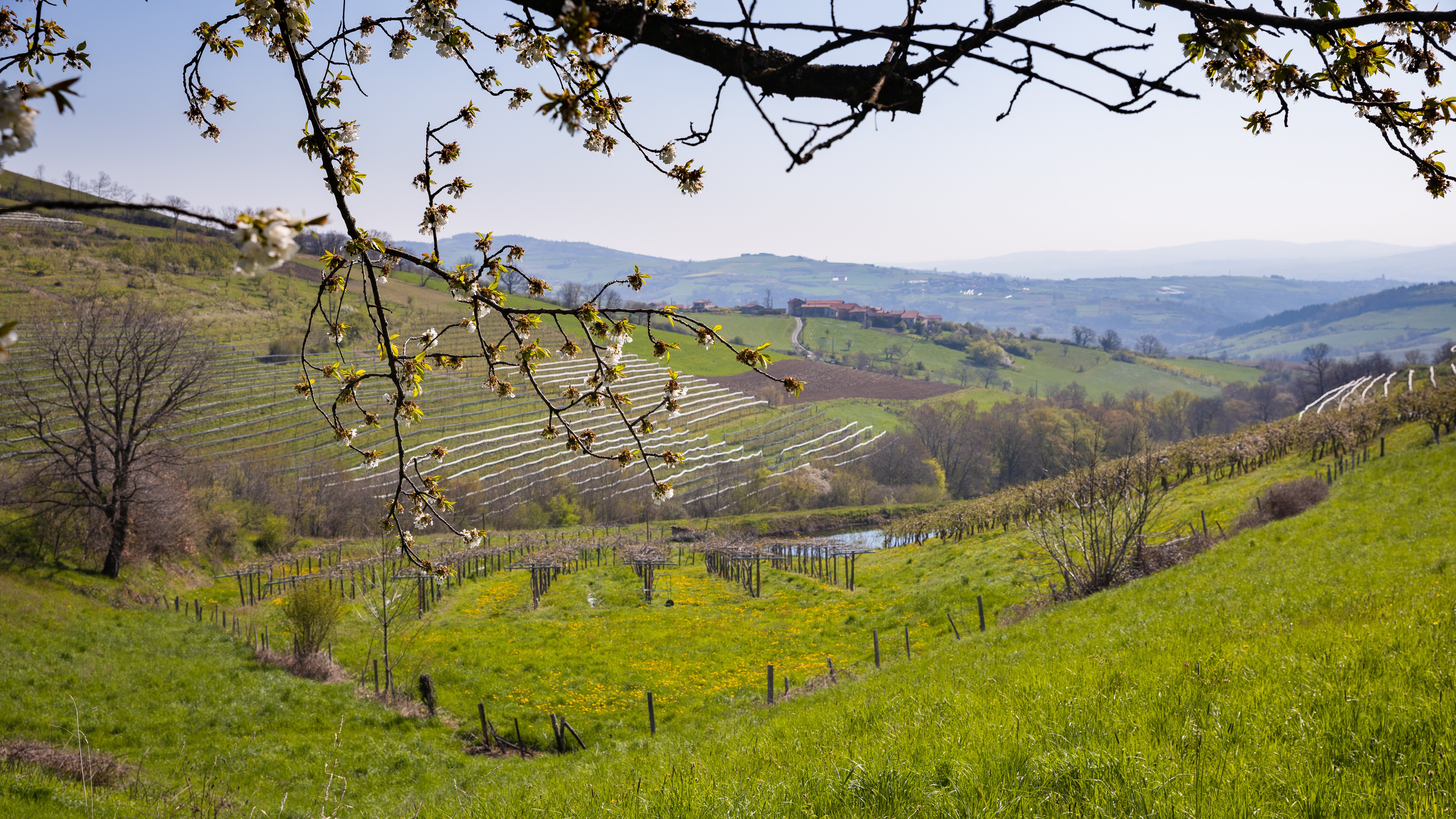 Valfleury Printemps-19.jpg
