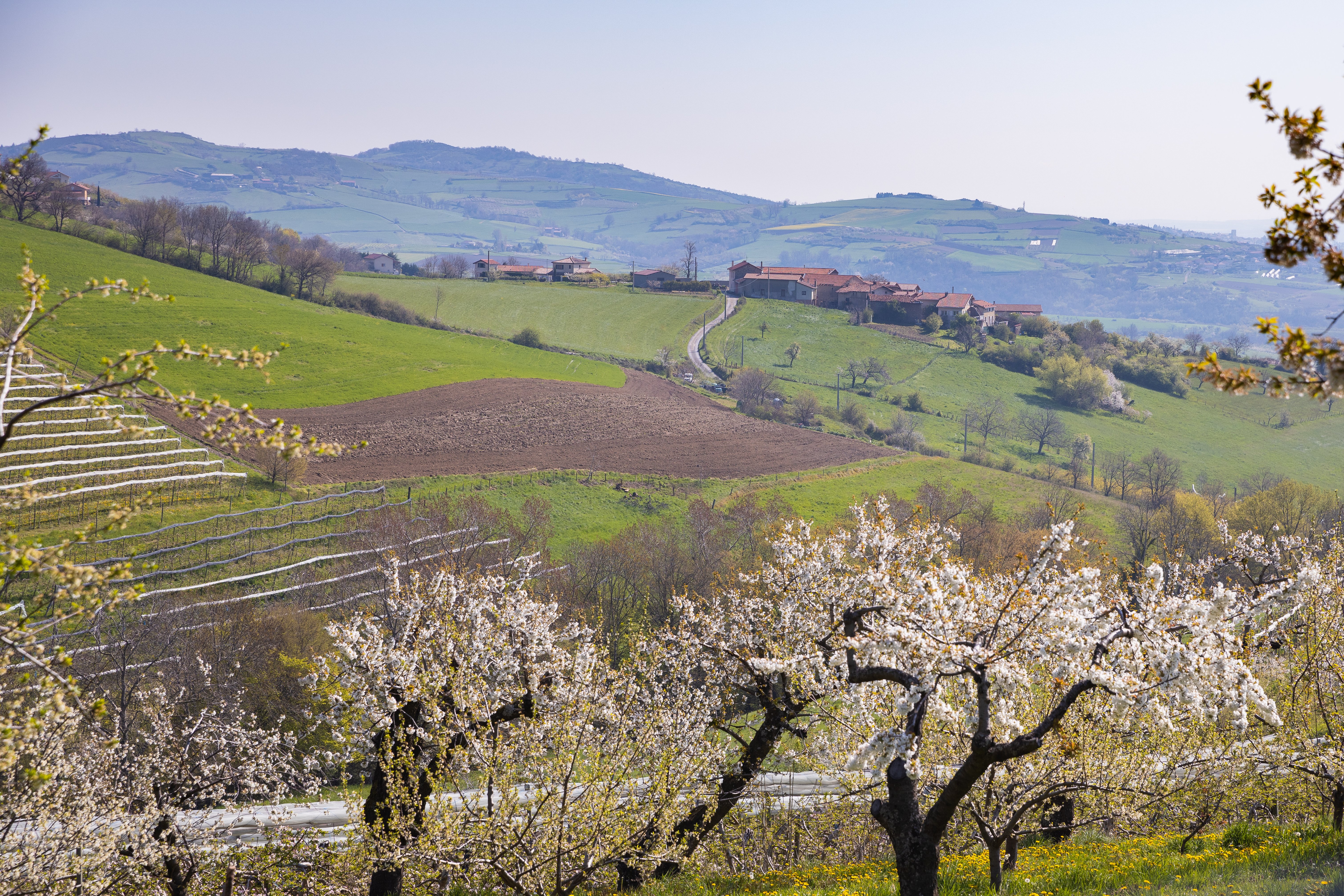 Valfleury Printemps-20.jpg