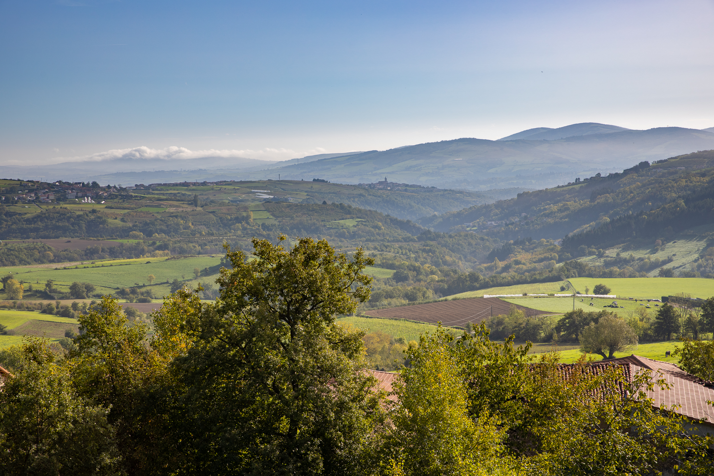 Automne Valfleury web-27.jpg