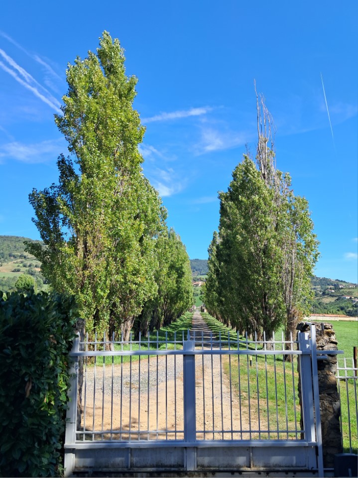 chateau lachal 4.jpg