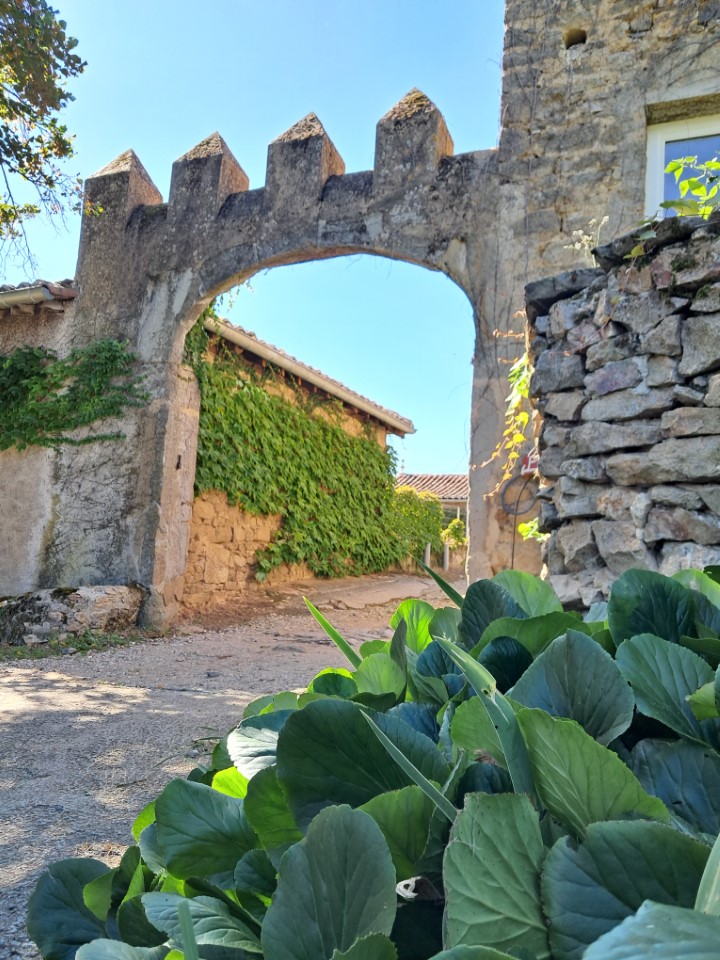 chateau lachal 11.jpg