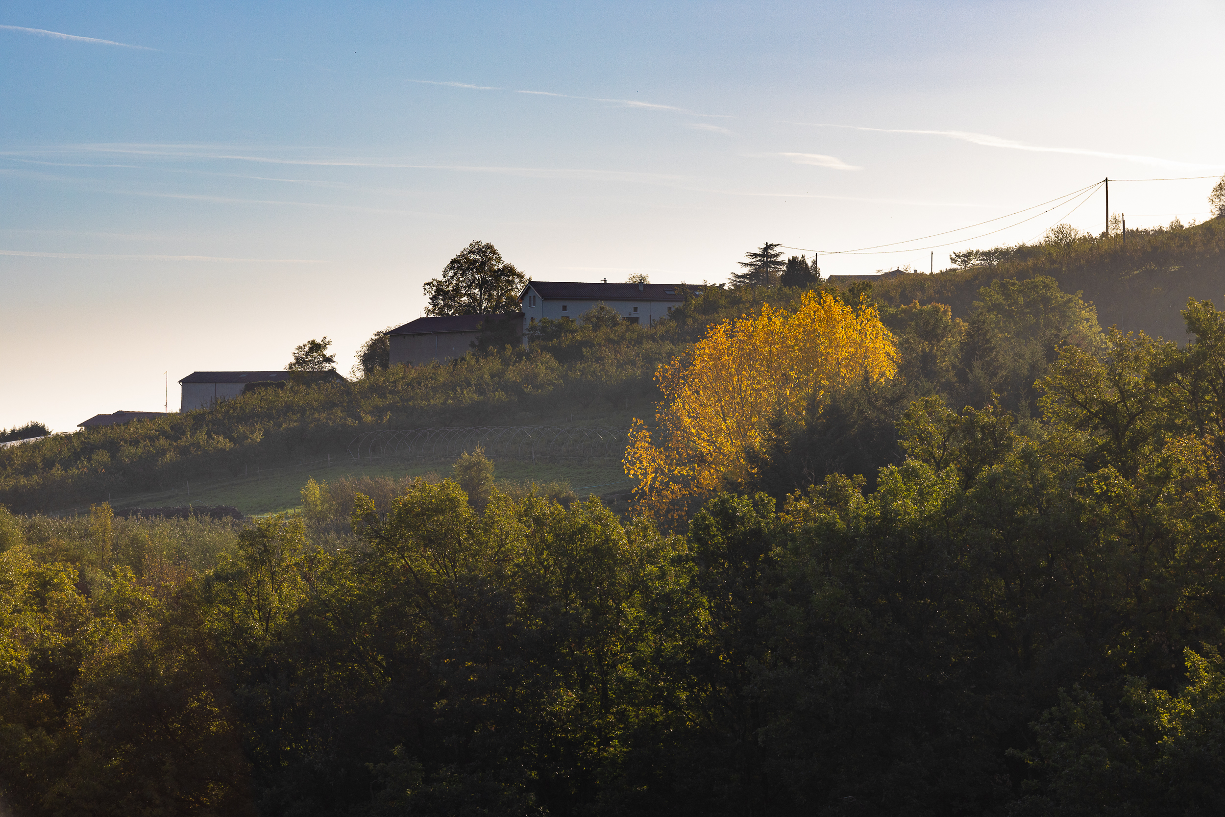 Automne Valfleury web-5.jpg