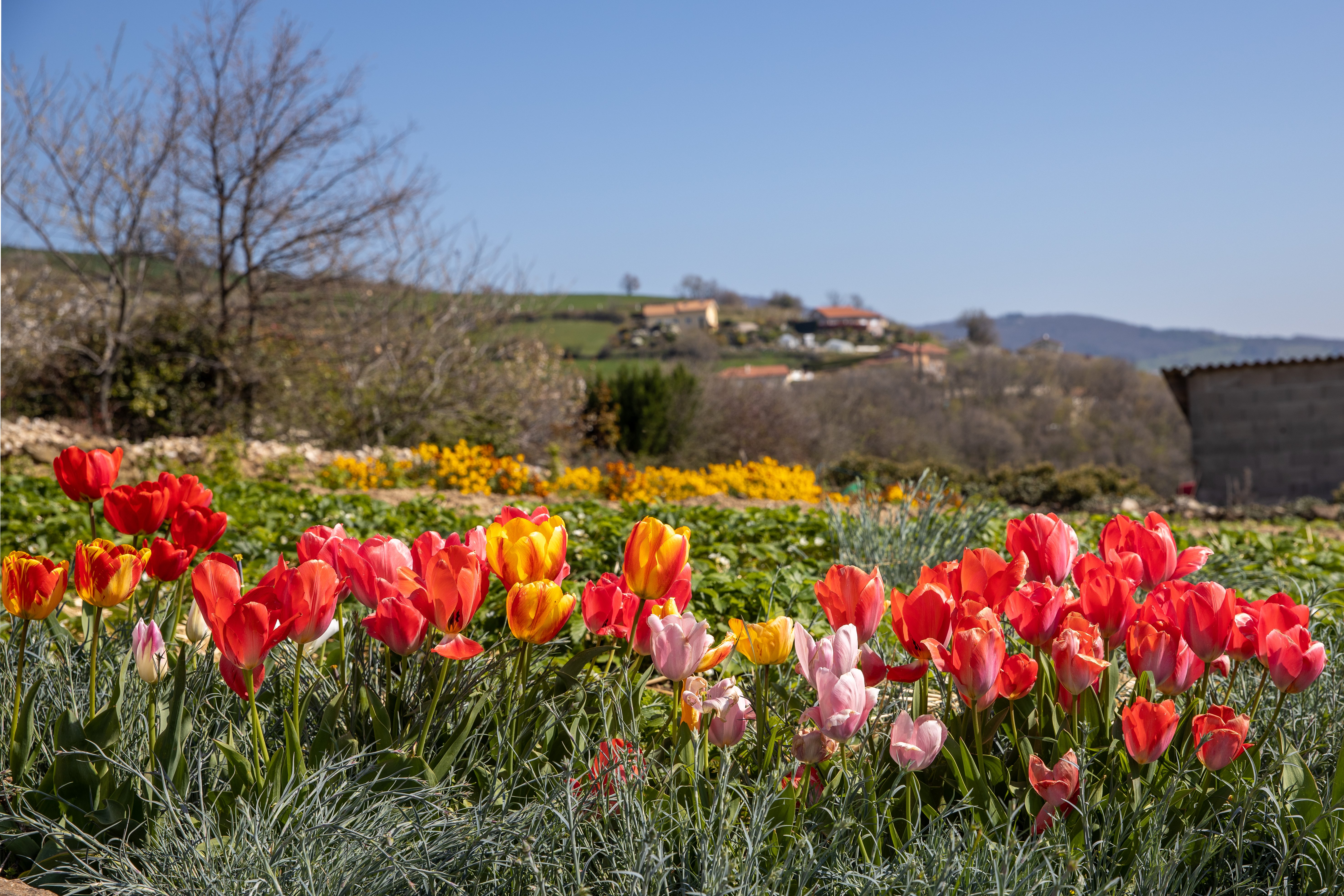 Valfleury Printemps-27.jpg