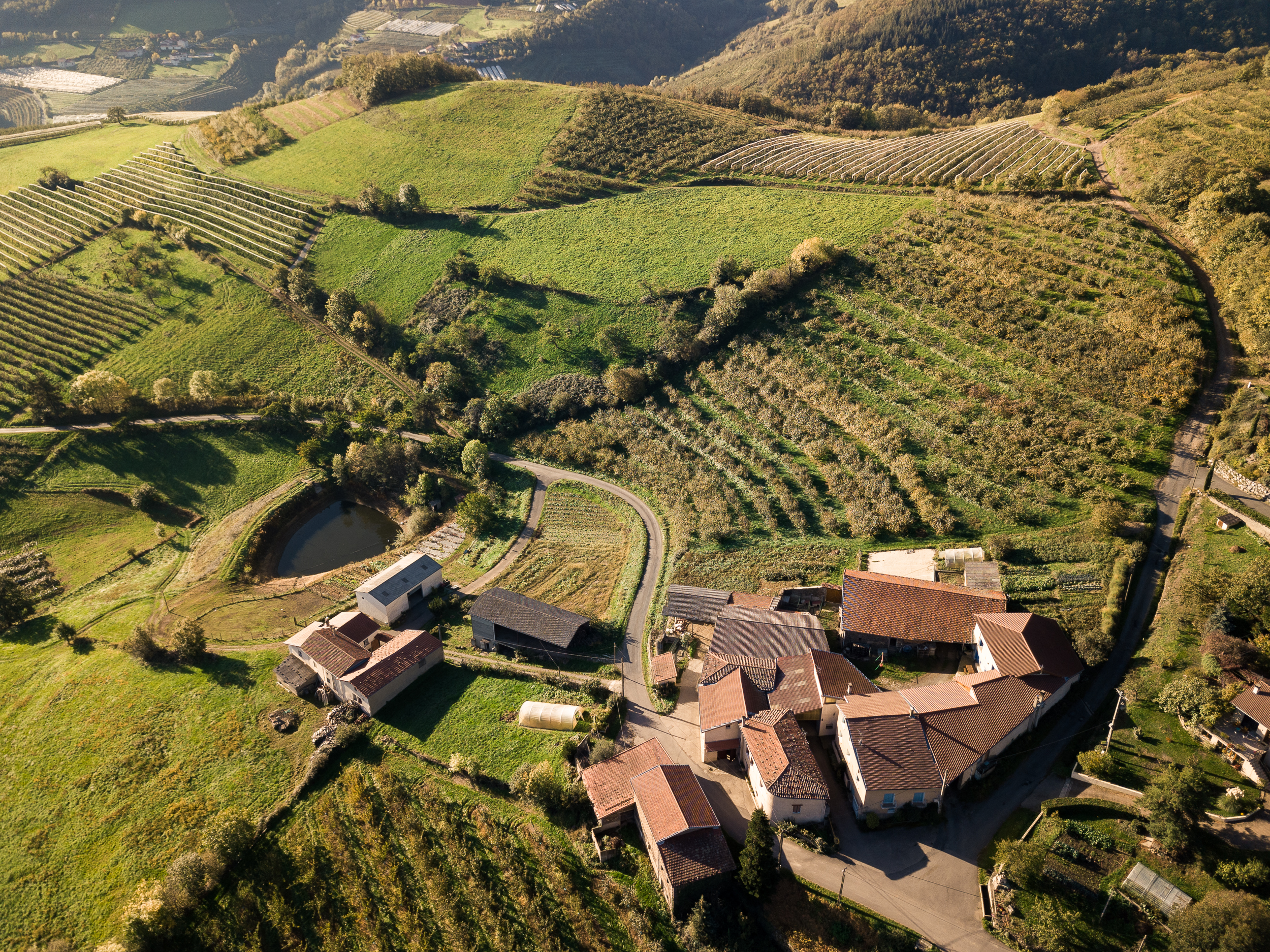 Automne Valfleury web-16.jpg