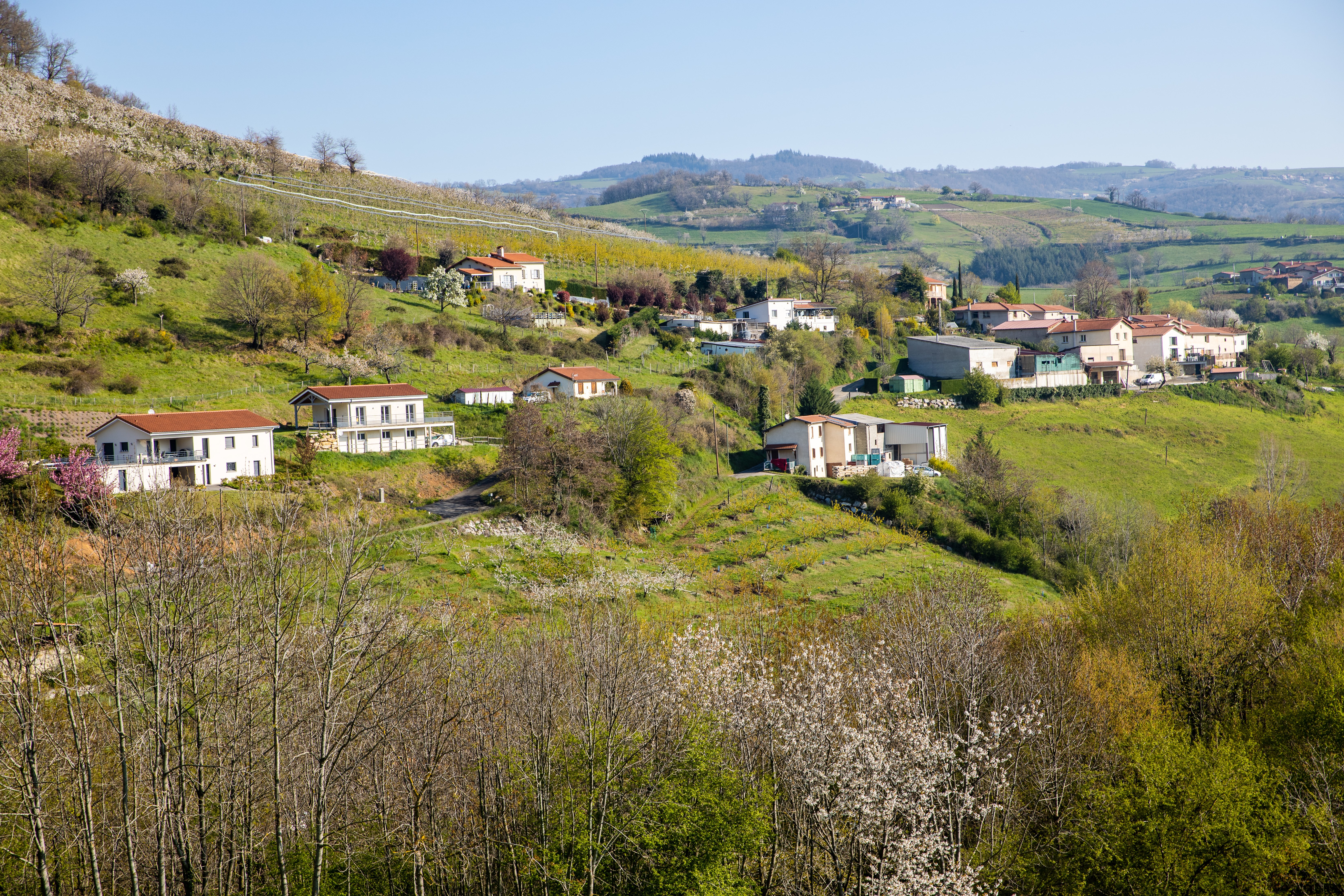 Valfleury Printemps-1.jpg