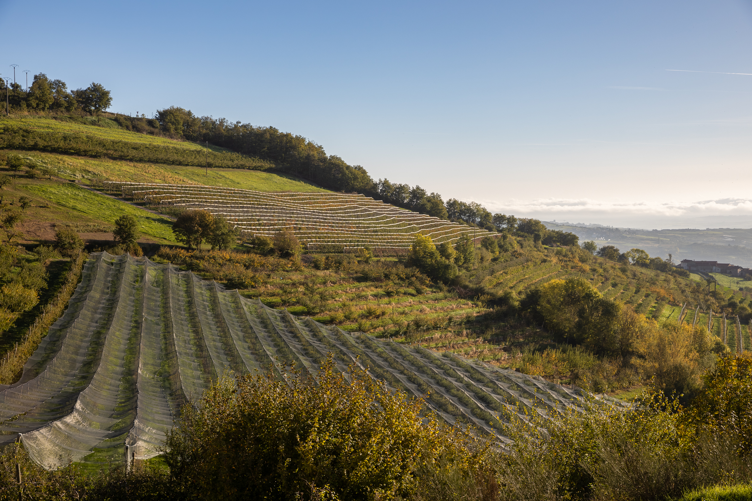 Automne Valfleury web-7.jpg