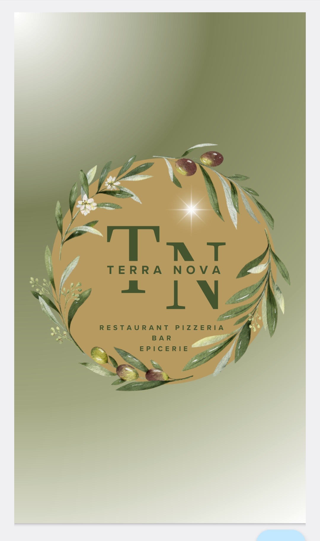 terra nova logo.jpg