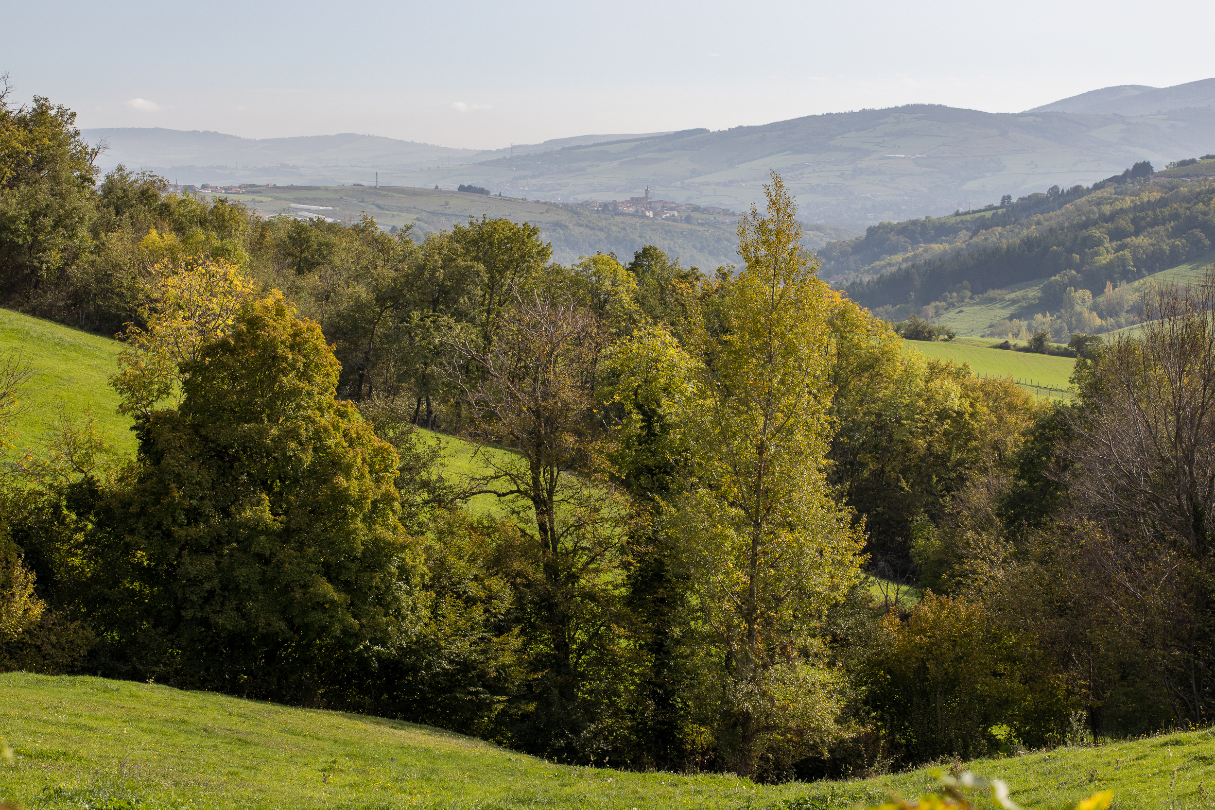 Automne Valfleury web-32.jpg