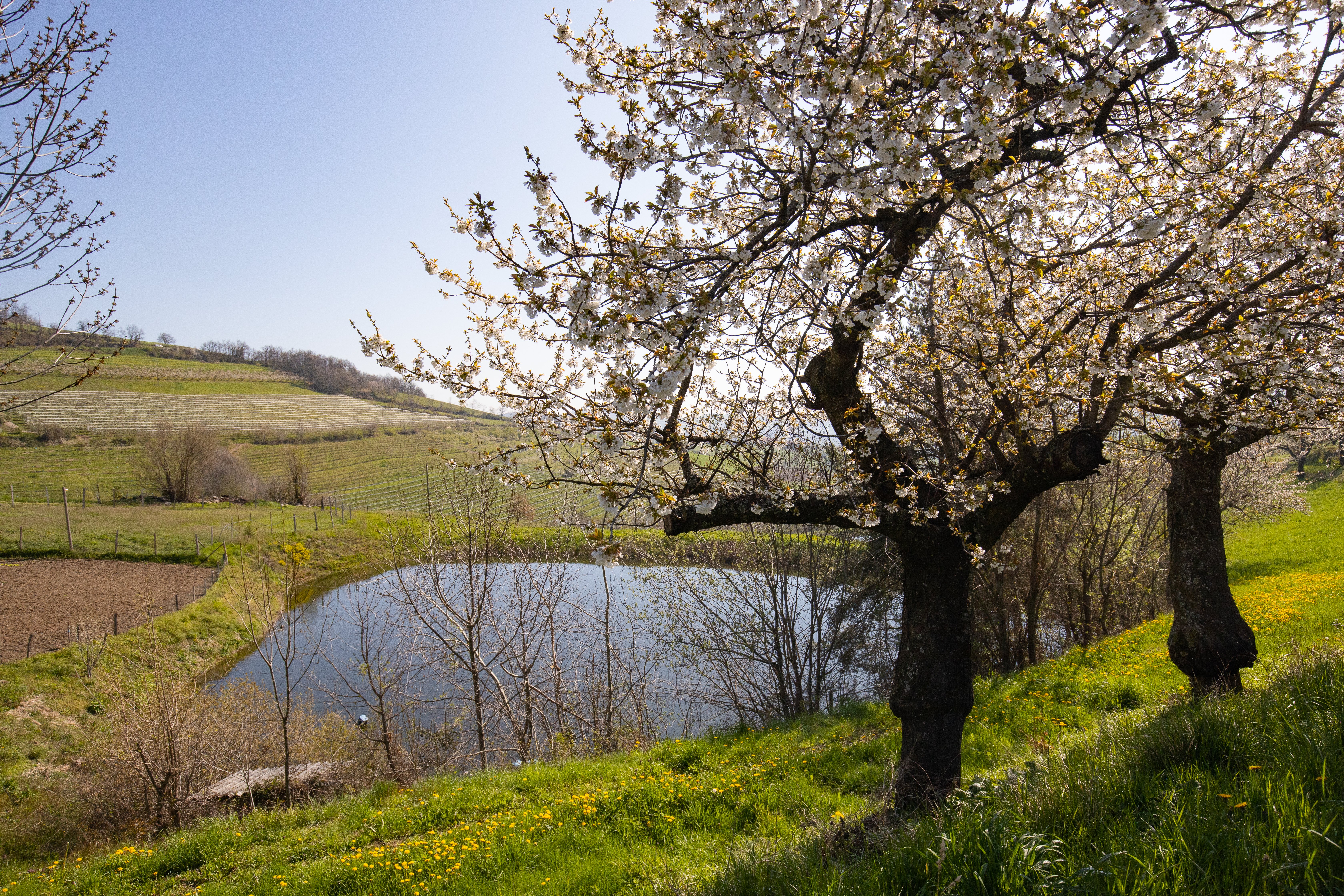 Valfleury Printemps-16.jpg