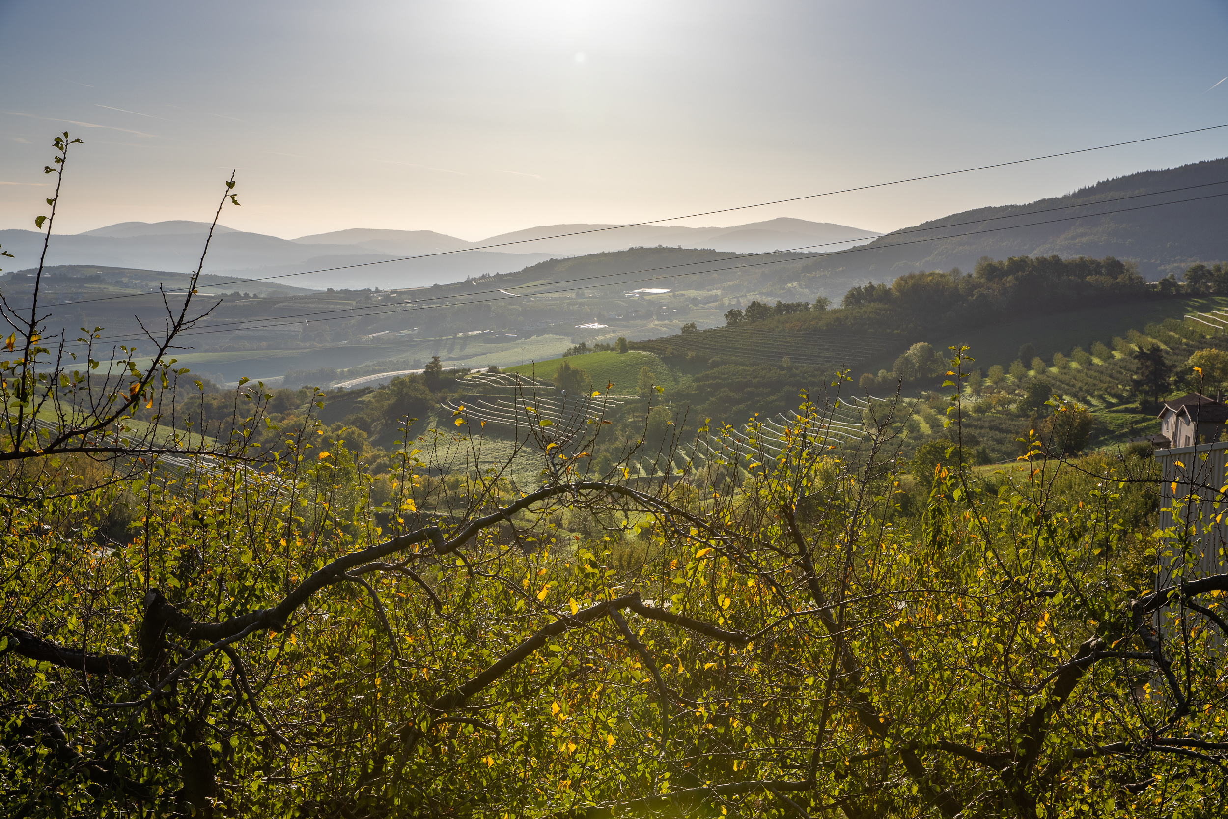 Automne Valfleury web-9.jpg