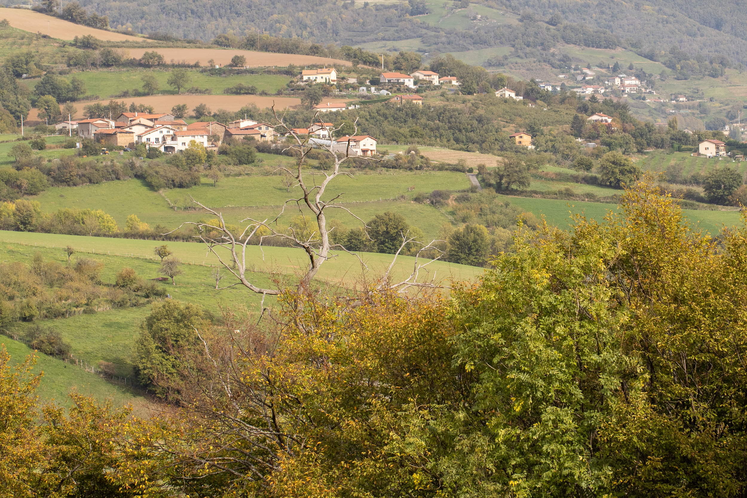 Automne Valfleury web-37.jpg