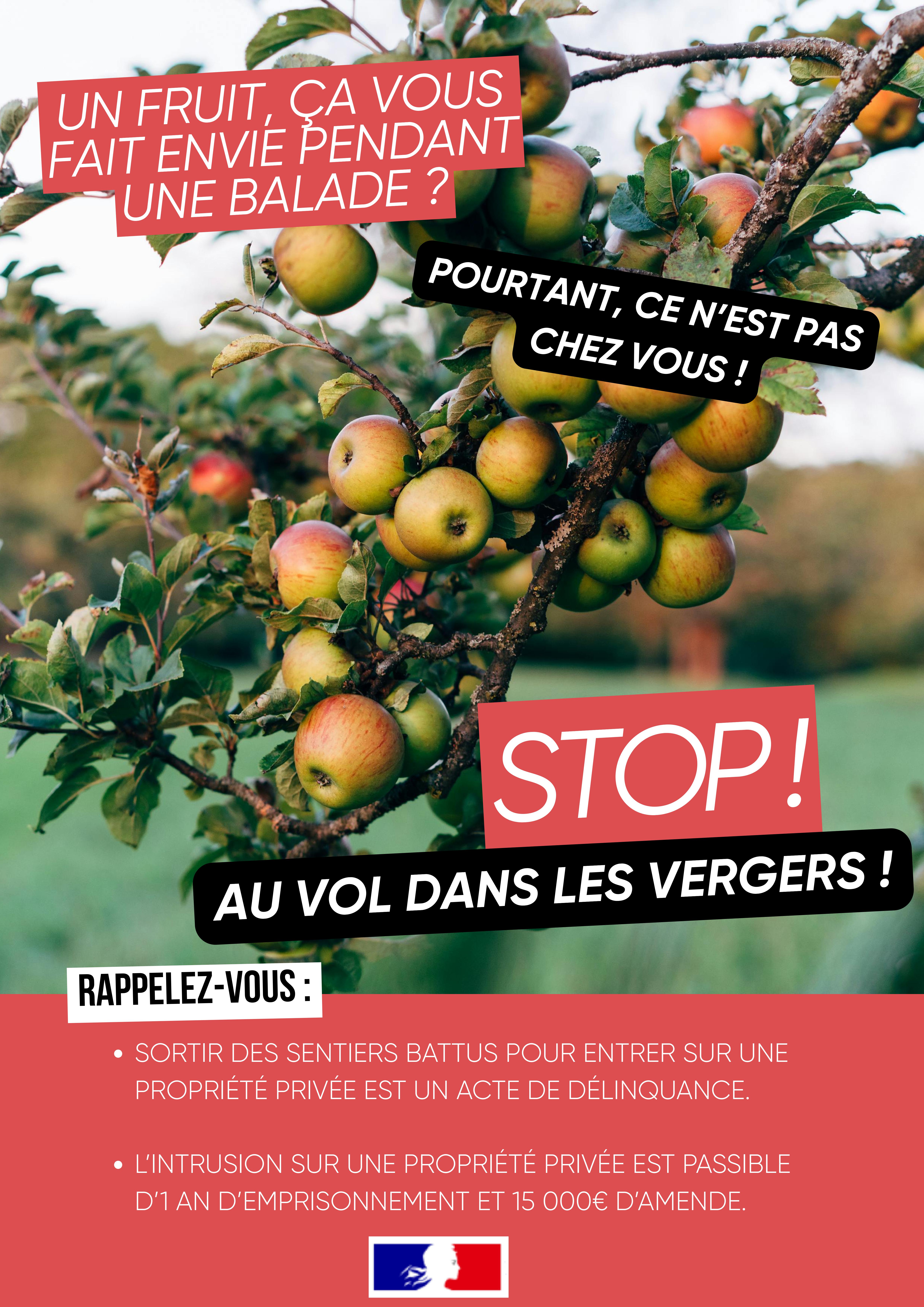 Vols dans les vergers