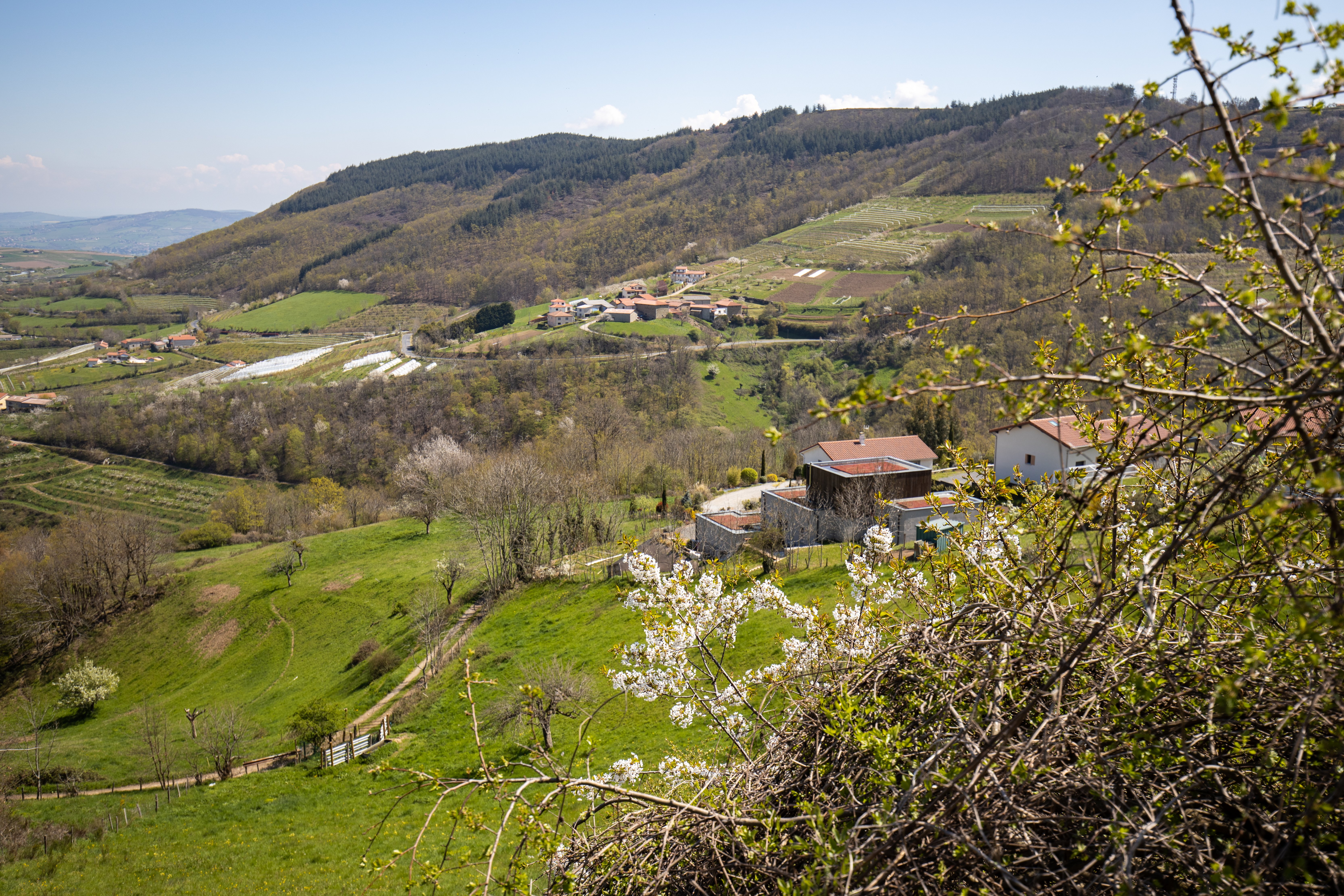 Valfleury Printemps-49.jpg