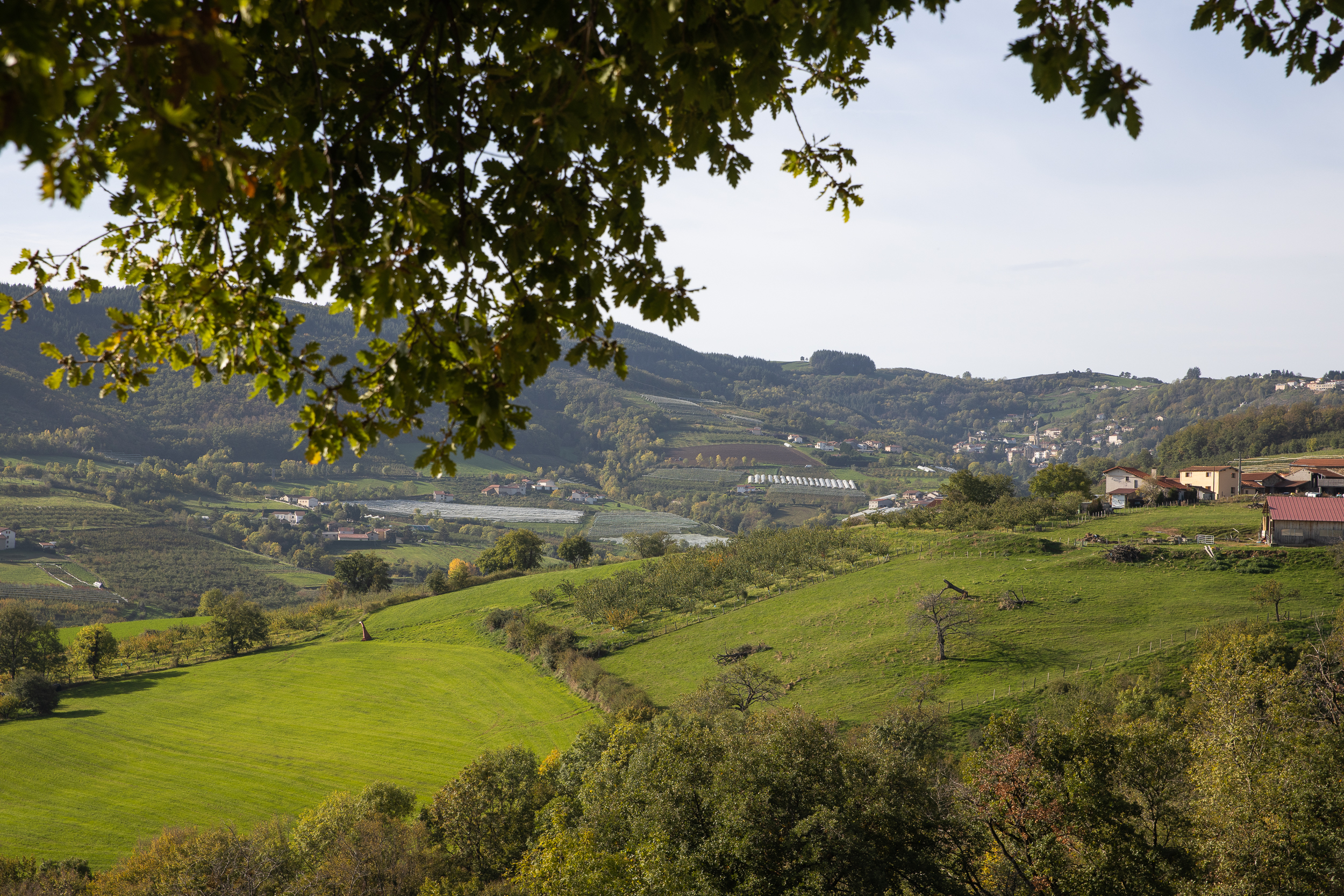 Automne Valfleury web-26.jpg