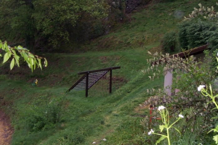 VALF - PIC NIC 3.jpeg