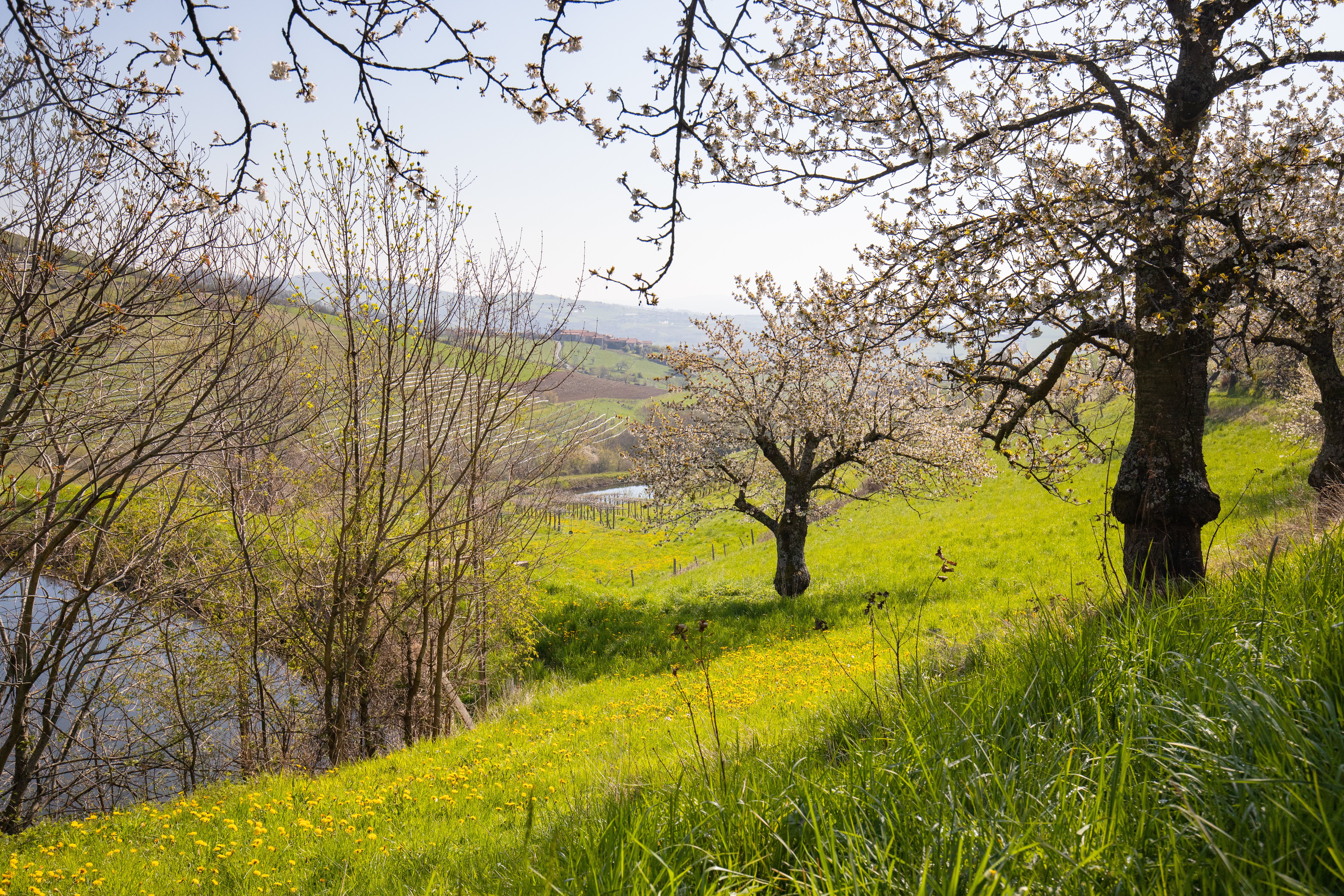 Valfleury Printemps-17.jpg