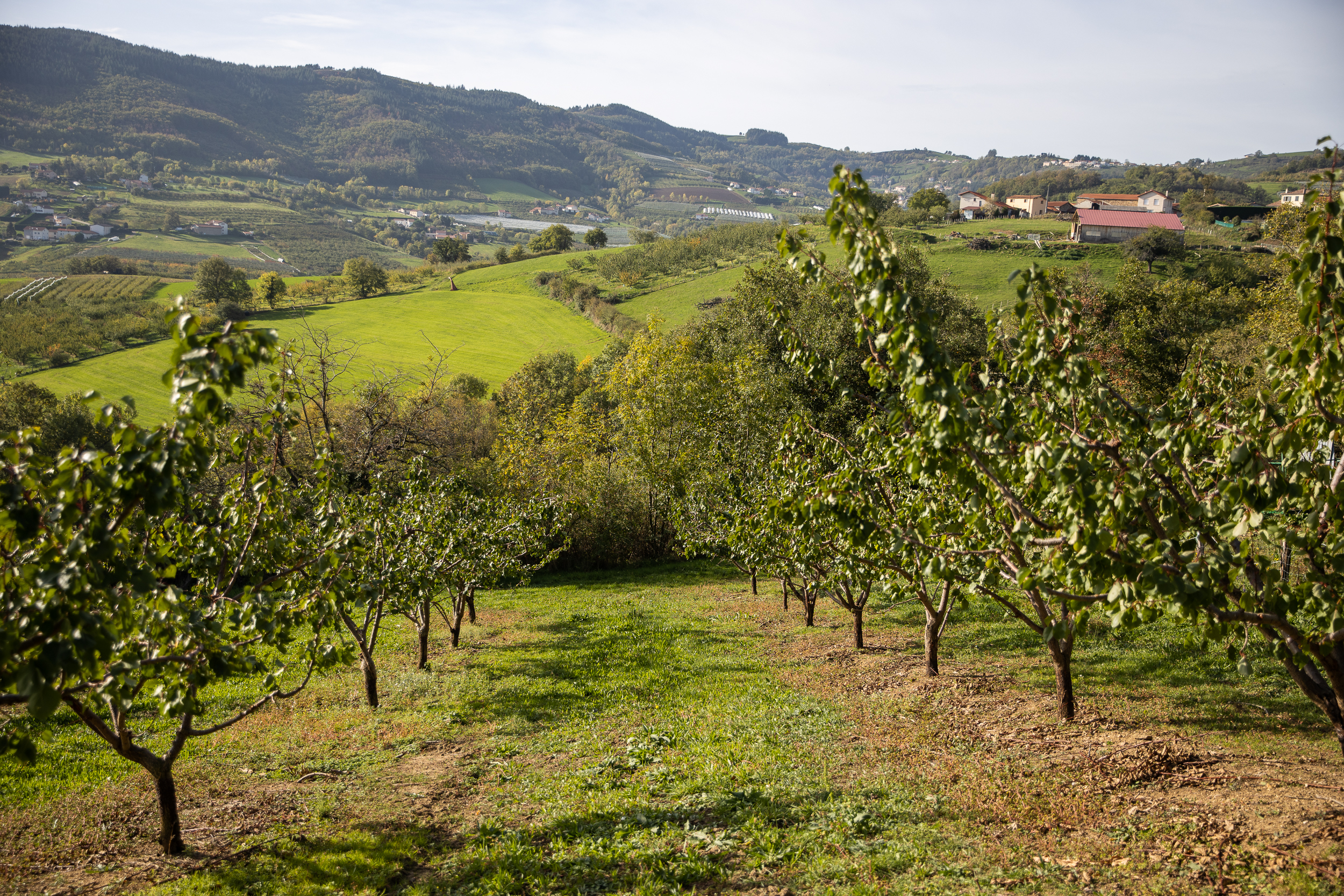 Automne Valfleury web-24.jpg