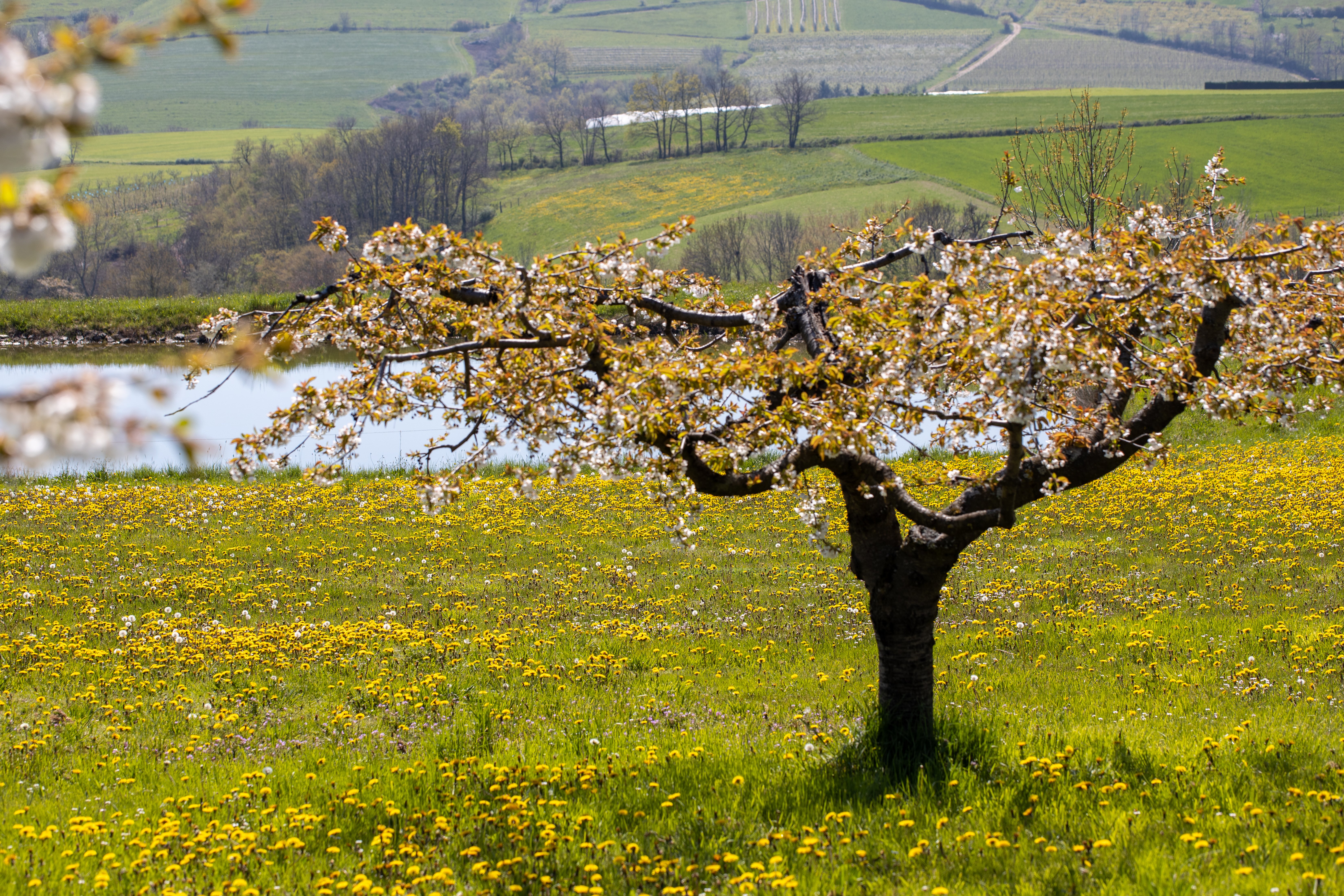 Valfleury Printemps-44.jpg
