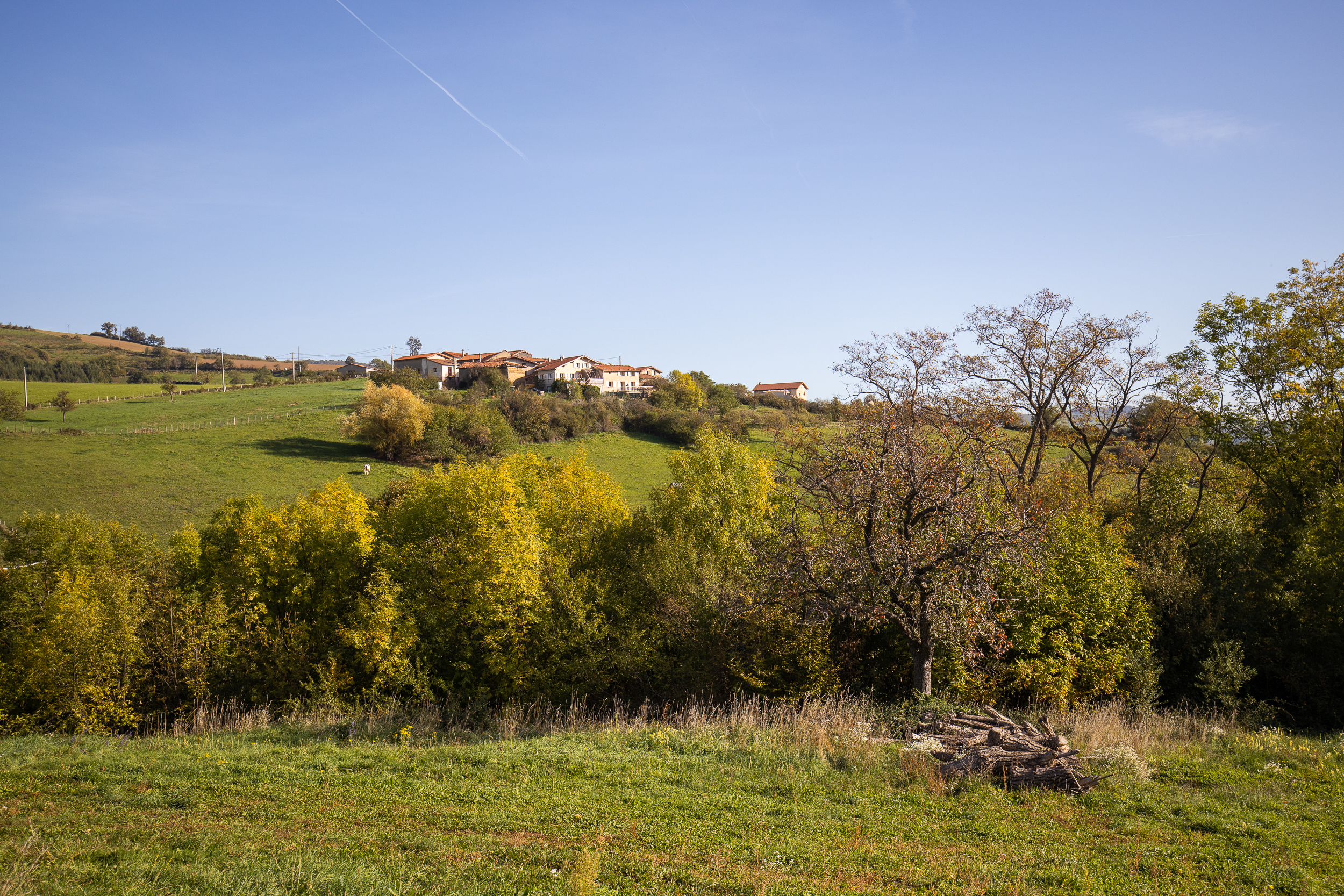 Automne Valfleury web-22.jpg