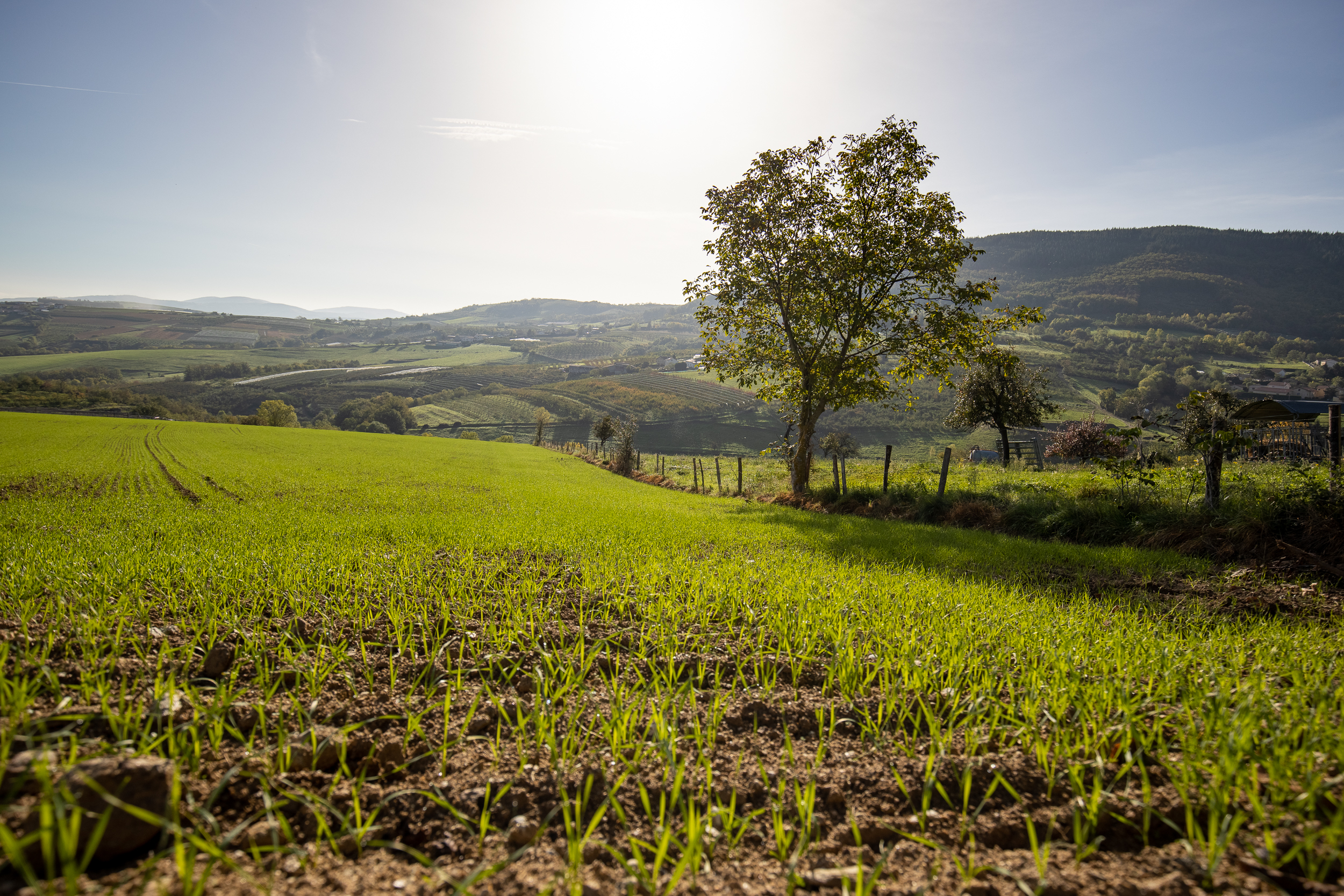 Automne Valfleury web-20.jpg