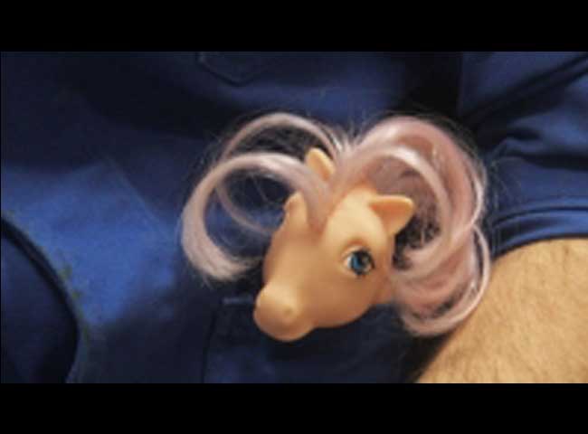 Peche mon petit poney.jpg