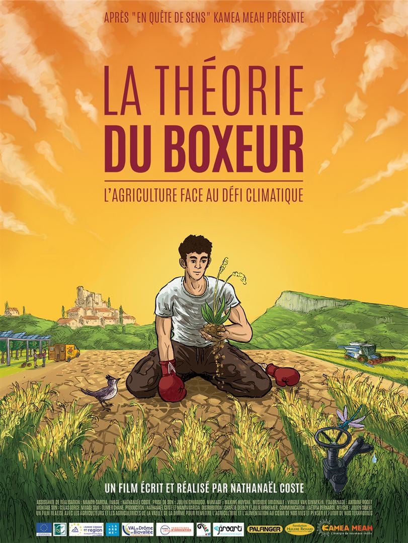 La théorie du boxeur.jpg