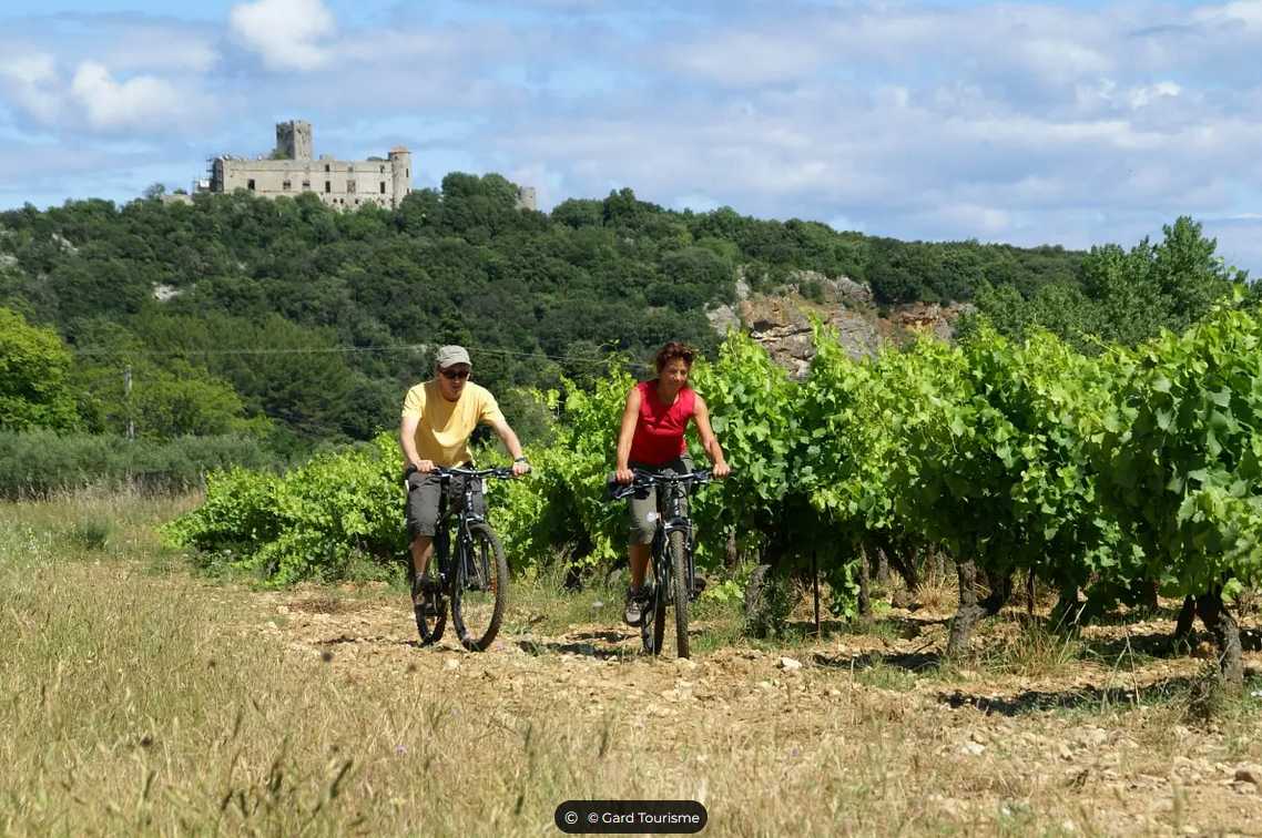 Château de Tornac 4