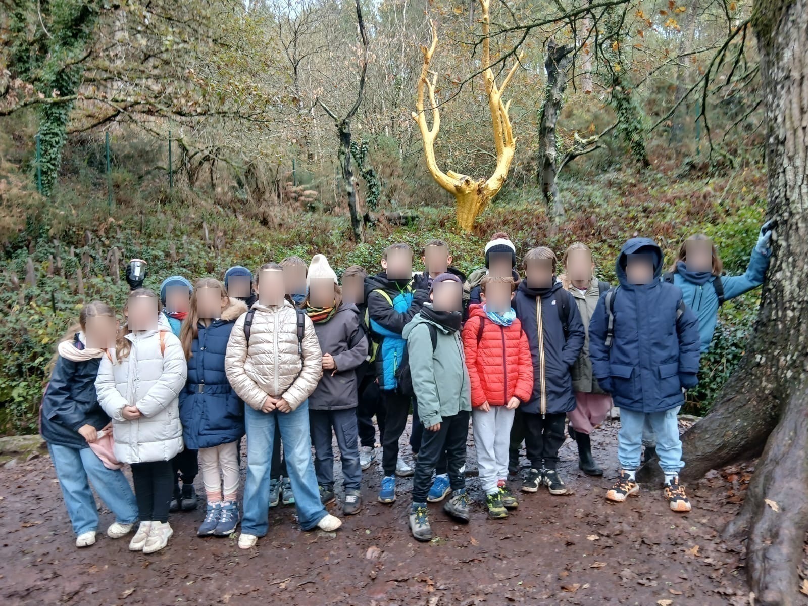 Voyage Brocéliande.JPG