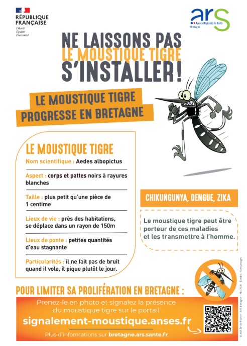 Moustiques.jpg