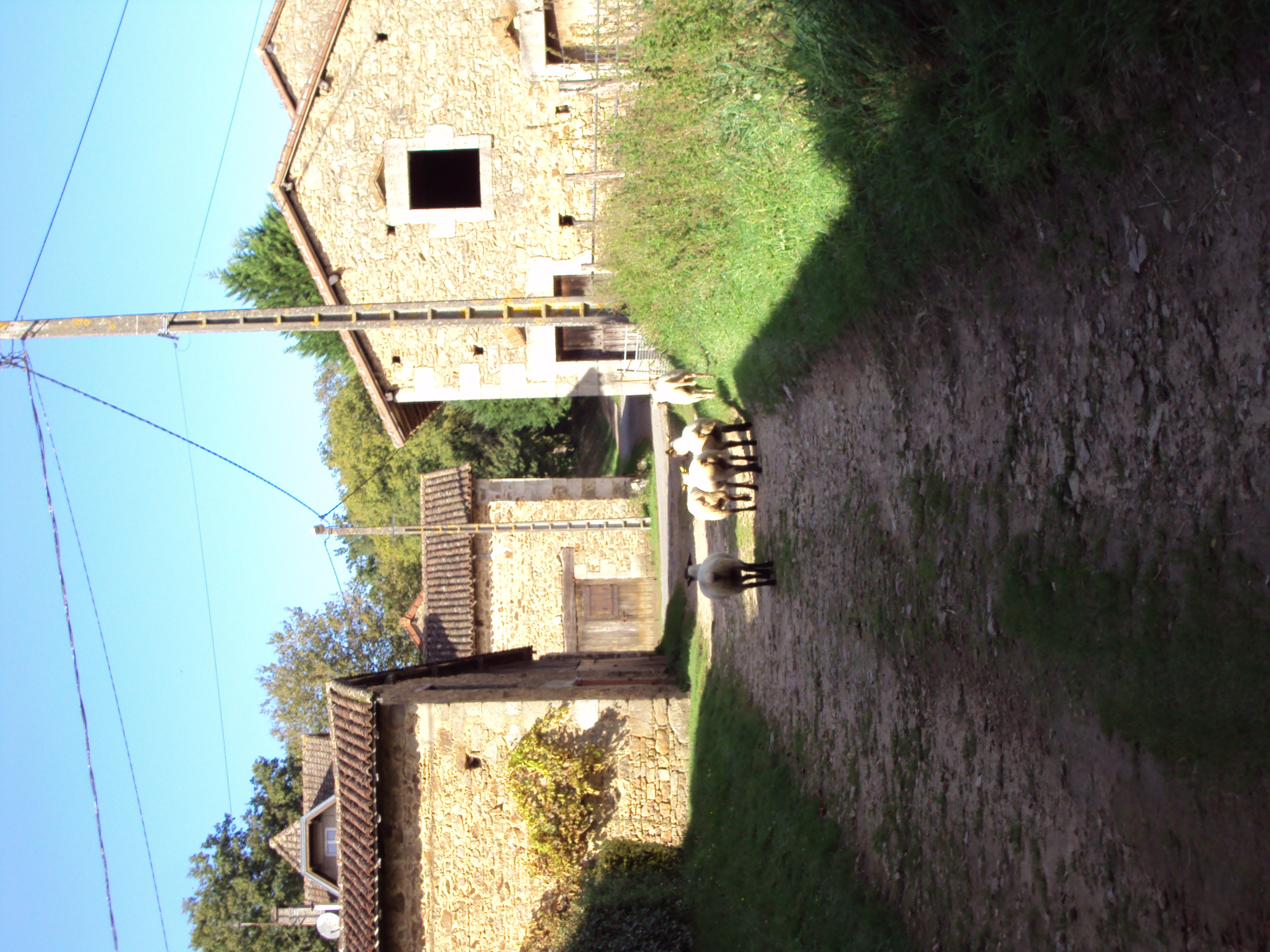 DSC02329 - Copie.JPG