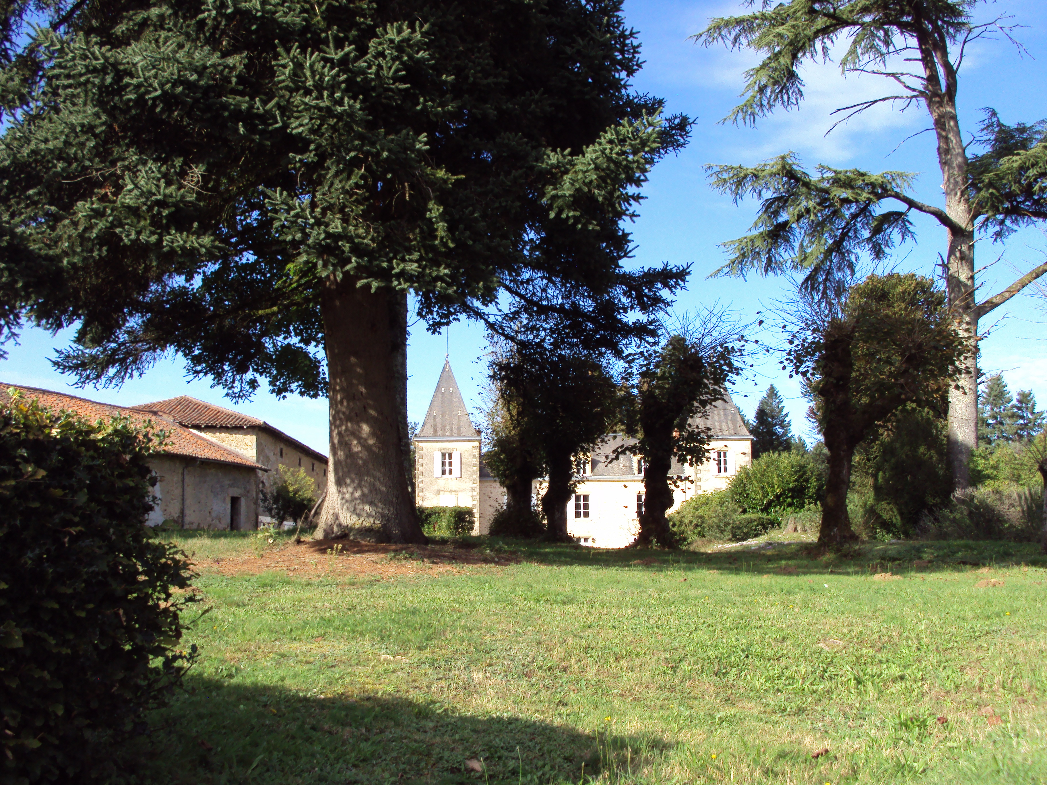 DSC02323 - Copie.JPG