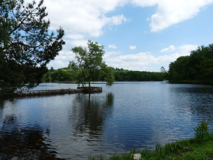 Etang.jpg