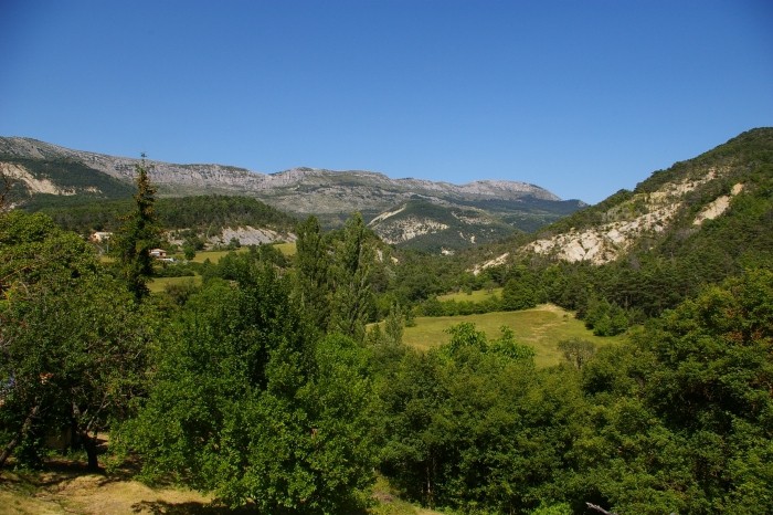 batie 3.jpg