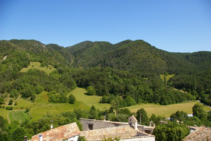 batie 10.jpg